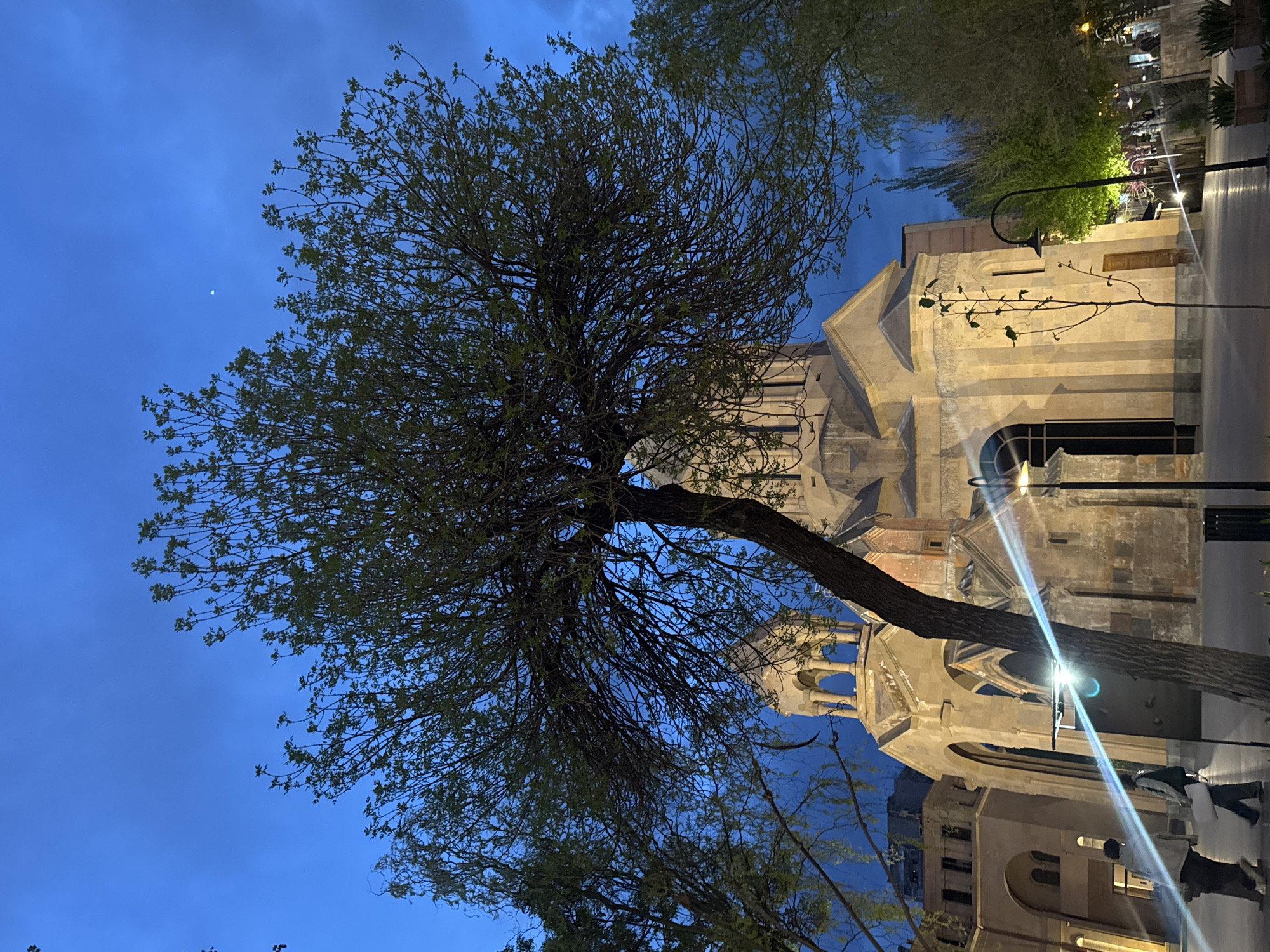 This evening photograph captures a serene street scene in Yerevan, Armenia, with the majestic Saint Gregory the Illuminator Cathedral as a central feature. The image, oriented vertically, frames a large deciduous tree in the foreground, its branches mostly bare but showing signs of new spring foliage. The tree's trunk leans slightly to the right, obscuring part of the cathedral behind it.
The sky, a deep twilight blue, features subtle cloud formations and a delicate crescent moon visible in the upper left. The cathedral, constructed from light-colored stone, is beautifully illuminated, showcasing its distinctive Armenian architecture with prominent arches and a multi-tiered dome or tower structure.
To the right, a paved walkway or street extends, lit by artificial streetlights. One bright streetlight in the lower right casts a strong lens flare across the scene. Two figures are visible on the walkway, appearing to walk leisurely. The overall impression is one of peaceful evening ambiance in an urban setting. No text is visible in the image.
