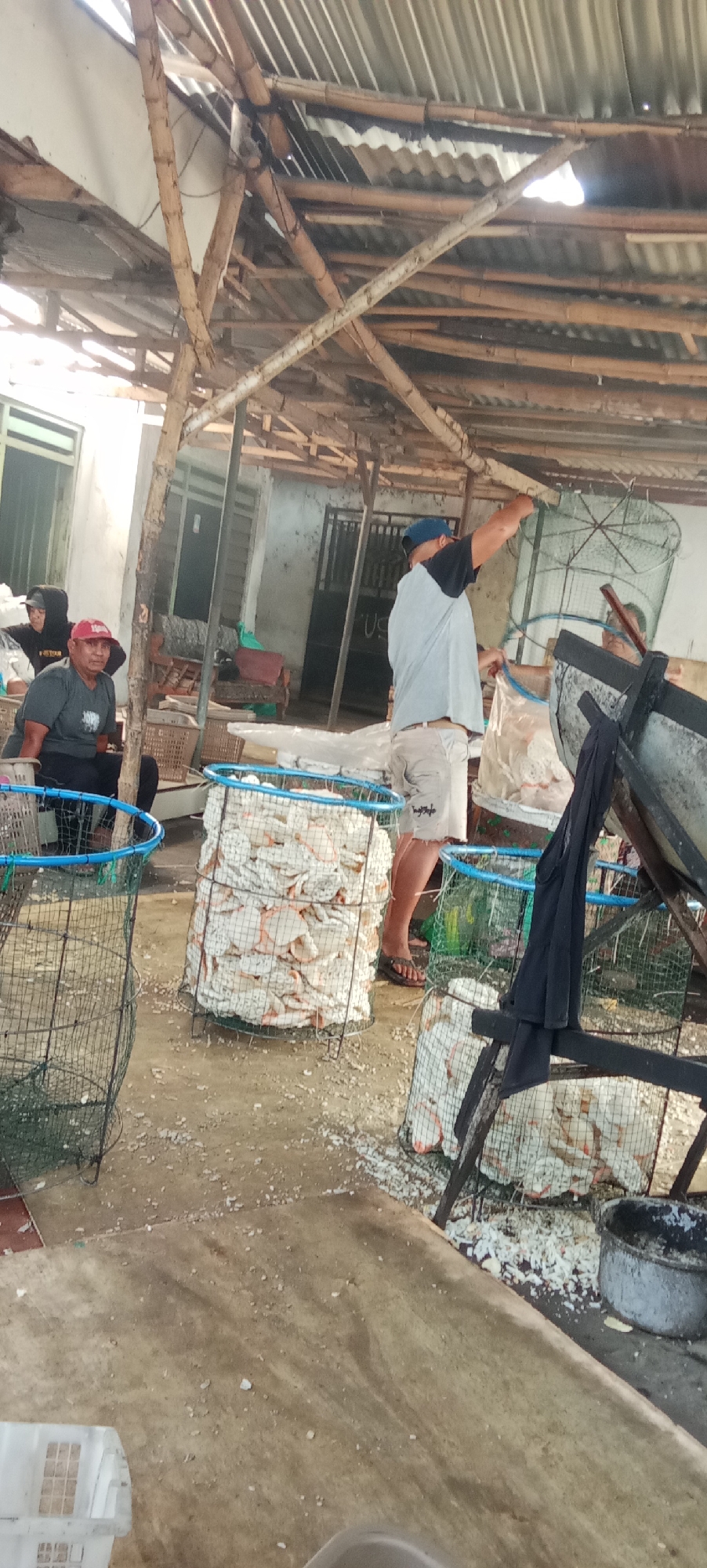 The image depicts an outdoor scene under a rustic, partially covered structure, likely in Kesamben, Indonesia. Several individuals are present, engaged in activities related to what appears to be the processing or handling of seafood. In the foreground and midground, there are large cylindrical mesh cages filled with what appear to be dried fish or shrimp crackers, or perhaps sun-dried seafood products. These cages have blue rims and are placed on a sandy or dirt ground covered in scattered debris.
To the left, a person wearing a red cap and dark t-shirt is seated, looking towards the camera. Next to them, another person is partially visible, wearing a dark hoodie. In the center of the image, a man wearing a blue cap, a light grey t-shirt with black sleeves, and light-colored shorts is standing and appears to be handling a large plastic bag, possibly containing more product. To the right, another person is partially visible, wearing dark clothing.
The structure above is constructed with rough-hewn wooden poles and bamboo, supporting a corrugated metal roof, with some sections showing damage or gaps. The environment is informal, suggesting a processing facility or a market stall. The ground is uneven and strewn with small white fragments, possibly remnants of the products being handled. In the background, there are buildings with closed doors and windows, and further in the distance, more wire mesh structures are visible.