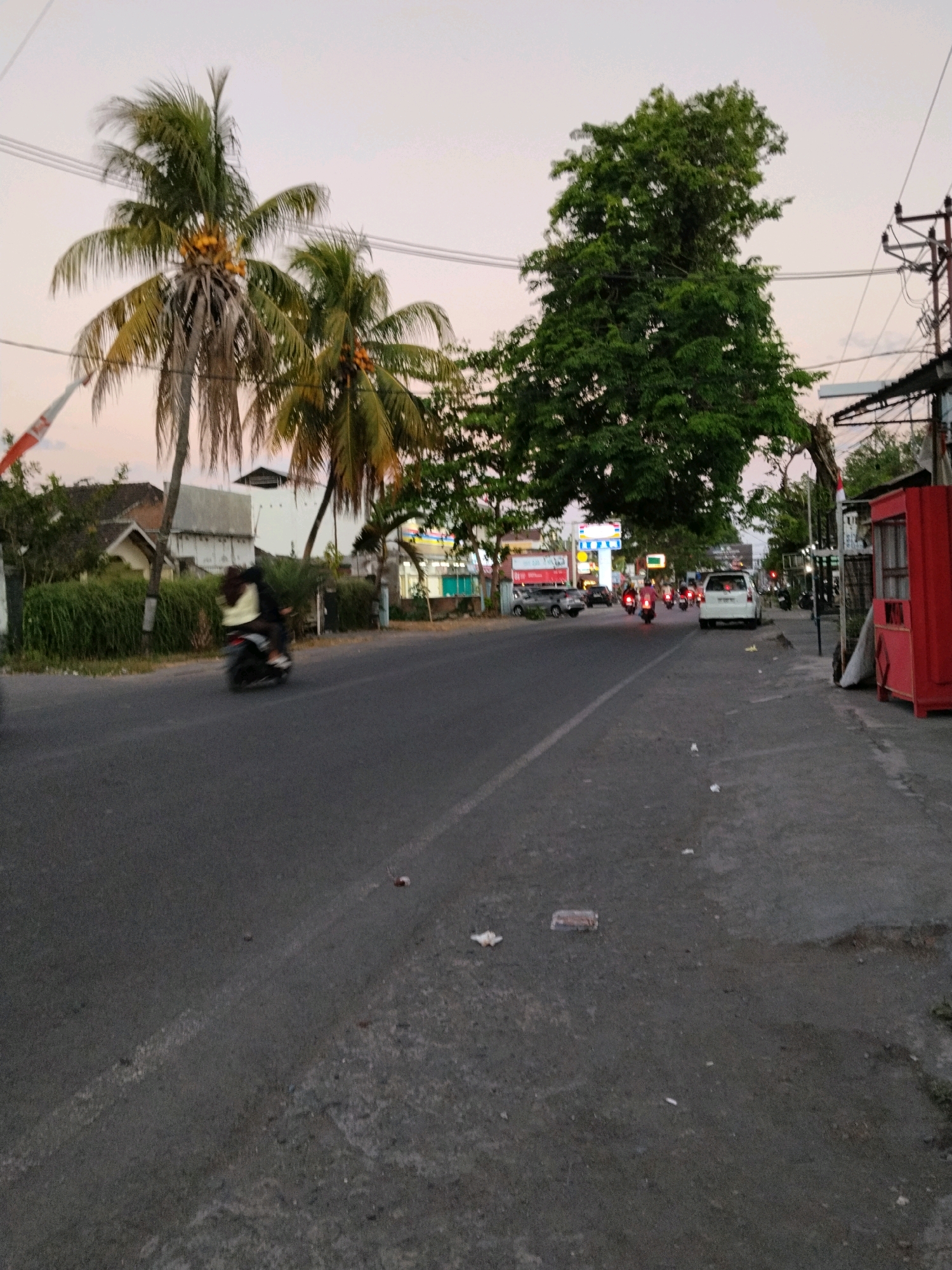 This image captures a street scene in Selong, Indonesia, likely during dusk, as indicated by the soft, diffused lighting and the pale pinkish hue of the sky. The foreground shows an asphalt road with visible tire marks and scattered debris, suggesting it is a public thoroughfare. To the left, a lush green hedge runs alongside the road, backed by buildings and more vegetation, including two prominent coconut palm trees with yellowing fronds and clusters of coconuts. A white and red Indonesian flag is partially visible on a pole to the far left.
The road itself is active with traffic. A person on a motorcycle, with their body blurred by motion, is riding away from the camera. Further down the road, several other motorcycles with illuminated taillights are visible, indicating movement. A white car is parked on the right side of the road. Along the right side of the road, there is a sidewalk and a bright red structure, possibly a kiosk or a small shop, with a metal awning extending over it. Electrical poles and wires are present, typical of urban infrastructure. A large, dense green tree stands tall between the coconut palms and the buildings on the left, providing significant shade. The overall atmosphere suggests a moderately populated urban or semi-urban area experiencing the transition from day to evening.