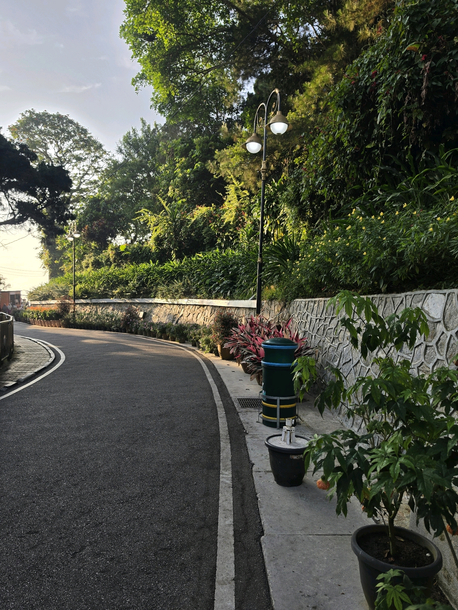 The image depicts a paved road curving to the left, bordered by a low stone wall covered in plants and flowers on the right. A black trash receptacle and two potted plants are situated on the sidewalk next to the wall. A vintage-style lamppost with two globes stands near the wall. Lush greenery and trees rise beyond the wall, with the sky visible through the canopy. The scene appears to be in a park or garden setting within George Town, Malaysia, given the context. The lighting suggests it is either early morning or late afternoon.