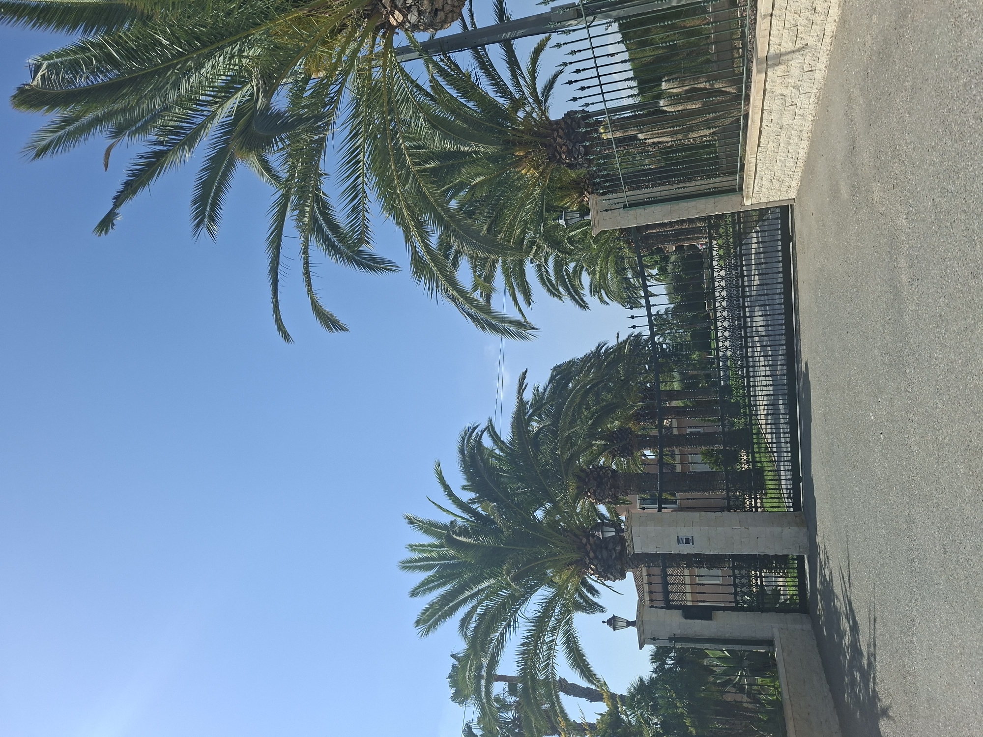 The image depicts a wide-angle shot of the entrance to a property in Elx/Elche, Spain, on a clear, sunny day. The foreground features a paved driveway leading up to a large, ornate black metal gate. The gate is flanked by two robust stone pillars, each topped with a lamppost. To the left of the gate, a low, light-colored stone wall extends outwards.

A line of mature palm trees, characteristic of the region, are visible behind the gate, their fronds stretching towards the bright blue sky. The palm trees create a sense of tropical elegance and suggest a warm climate. Beyond the gate, a large building with a red-tiled roof is partially visible, hinting at a substantial residence or estate. The overall impression is one of a well-maintained and perhaps luxurious property. No people are present in the image.