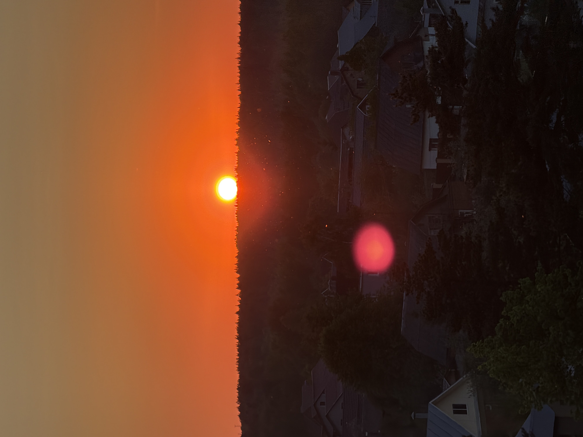 The image shows a sunset with the sun appearing as a bright orange-yellow orb on the left side of the frame. The sunset is situated next to a dark line of trees. To the right of the trees is a residential area, with houses visible amongst the foliage. An orange glow is present above the houses. The overall setting appears to be a residential area on the edge of a forest or wooded area. The location and city are Unknown.