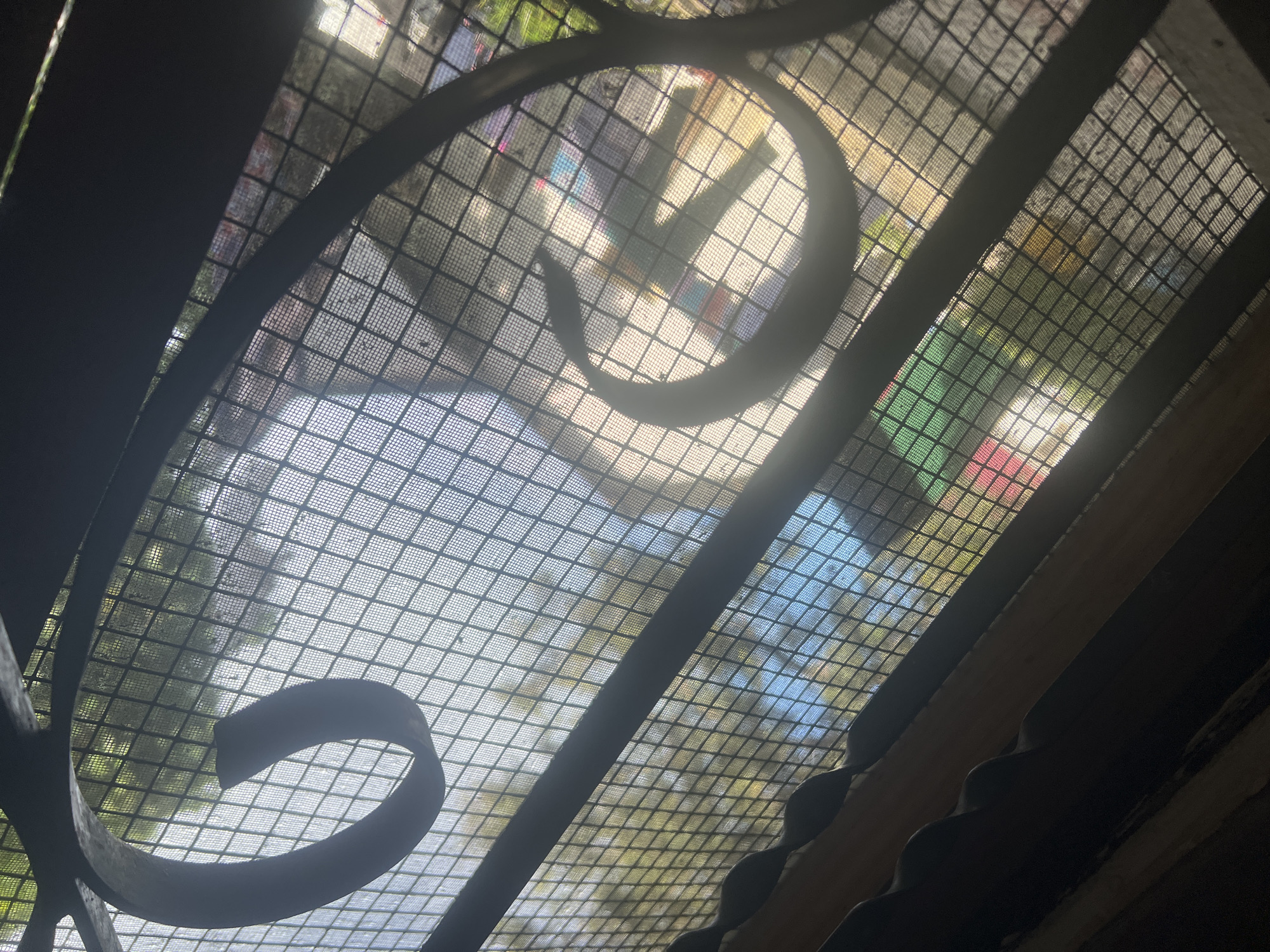 The image, taken from a low angle, depicts a view through a window or doorway protected by a metal grate or screen. The grate features decorative, curved elements in the foreground, while the mesh of the screen fills the background. Beyond the screen, the environment appears to be outdoors, with glimpses of trees and buildings visible. The scene is brightly lit, suggesting daylight. It is impossible to definitively confirm the location of this image as Dar es-Salaam, Tanzania.