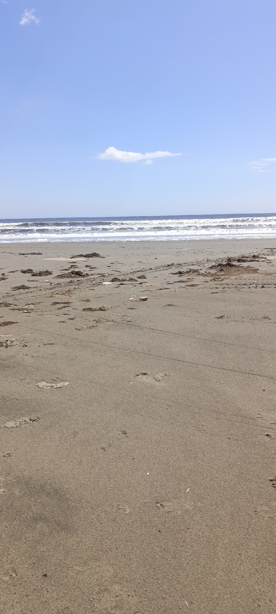 An outdoor, ground-level, vertical, medium shot captures a sandy beach scene. The foreground is dominated by sand, with scattered debris such as seaweed and what appears to be a plastic wrapper. Tire tracks are visible across the sand, suggesting vehicle activity. The middle ground features the ocean, with waves breaking on the shore and a line of foamy white surf. The background displays a clear blue sky with two small clouds. The scene is devoid of people. The location is described as Unknown, Unknown.