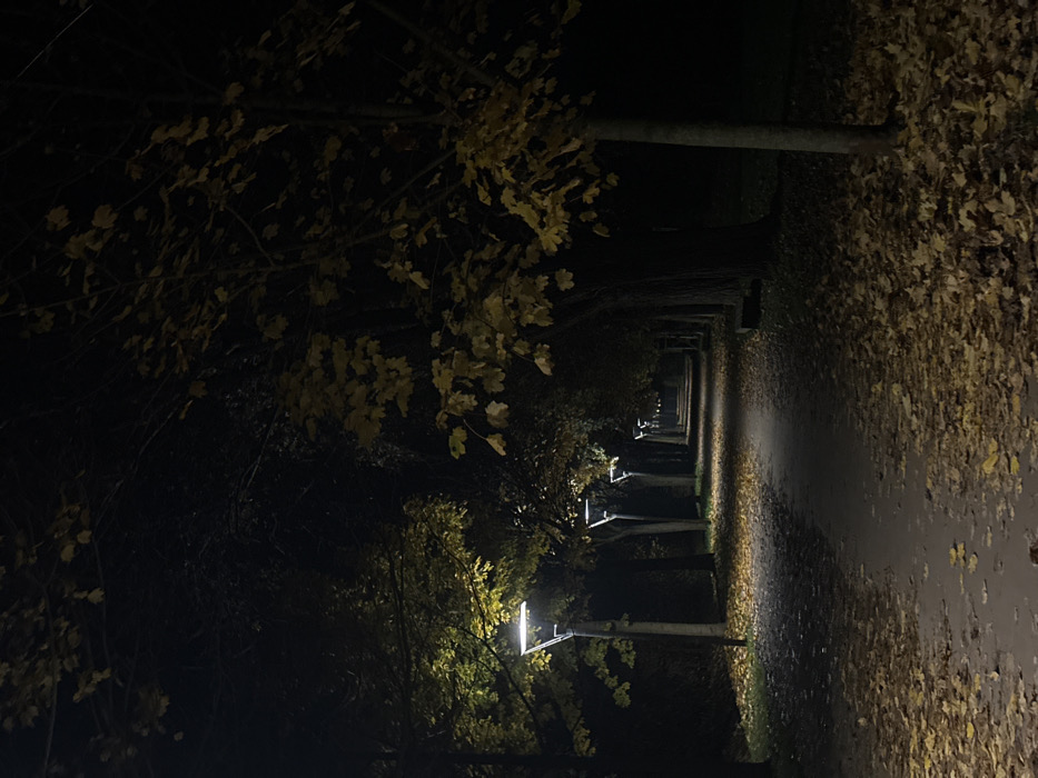 A dimly lit pathway stretches into the distance at night, lined with trees shedding golden leaves. Streetlights cast a faint glow on the path, which is covered with fallen leaves, appearing wet. The scene is dominated by darkness, with trees on both sides obscuring the sky. The perspective is slightly tilted, adding to the eerie and atmospheric quality of the image.