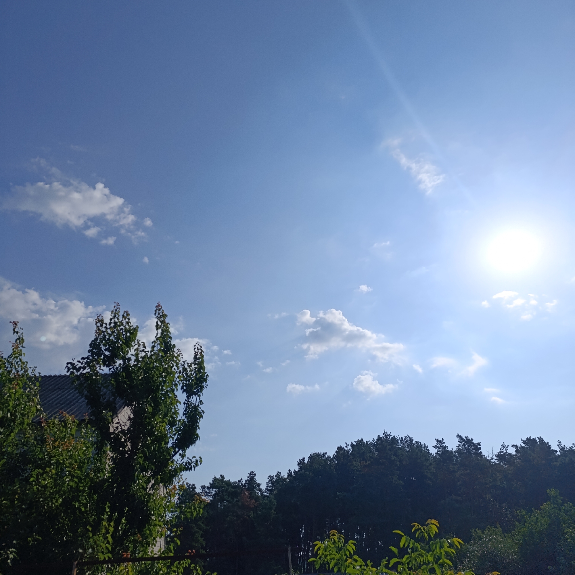 The image captures a bright, sunny day in Ladyzhyn, Ukraine. The sky is a vibrant blue, with scattered white cumulus clouds. The sun is prominent in the upper right quadrant, casting a bright glare. In the foreground, lush green trees with dense foliage are visible, some reaching towards the sky. A dark-colored roof of a building is partially obscured by the trees on the left side of the frame. A line of dark green coniferous trees forms a dense backdrop across the lower portion of the image, creating a contrast with the bright sky. The overall impression is one of a clear and pleasant day in a natural or semi-natural environment.