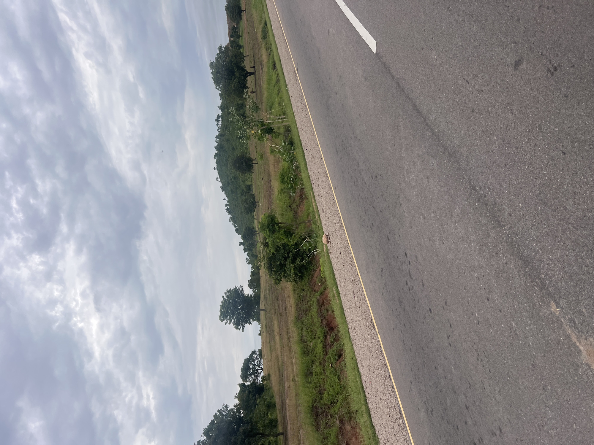 The image captures a roadside view in Minda, Nigeria, on an overcast day. The primary subjects are the asphalt road with a white dividing line and a yellow shoulder line, and the adjacent landscape. The landscape consists of a grassy embankment dotted with trees, leading to a hilly area covered in vegetation. The sky is filled with dense, grey clouds, suggesting a potentially rainy or overcast weather condition. There are no people or vehicles visible in the frame. The scene appears to be a rural or semi-rural setting, characterized by the natural terrain and scattered trees. The time of day is difficult to ascertain precisely due to the cloud cover, but the lighting suggests it is daytime. No text is visible in the image.