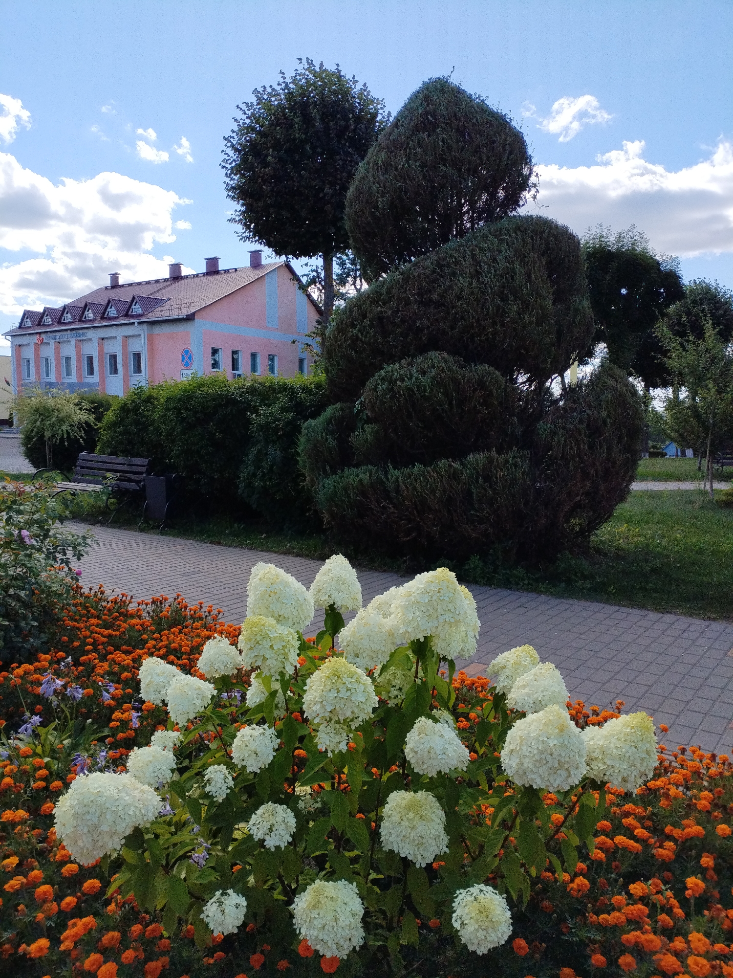 The image shows a view of the city of Bialynichy, Belarus. In the foreground, a bed of vibrant orange marigolds and white hydrangeas is bordered by a paved walkway. Behind the flowers, a dark green, topiary-shaped bush stands tall. Further back, a light pink and blue building with a red-tiled roof and multiple windows is visible. A park bench is situated near a dense green hedge. The sky above is blue with scattered white clouds.