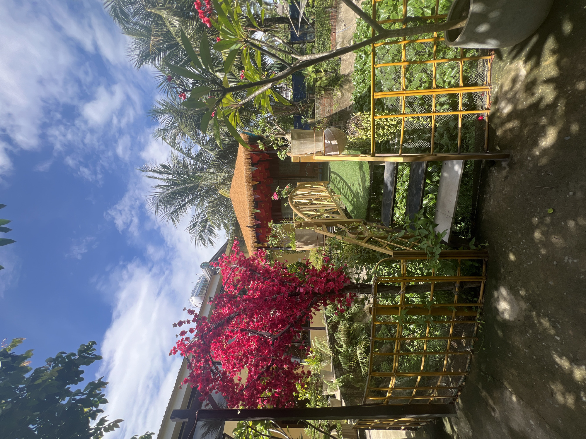 This image depicts a vibrant outdoor scene in Hoi An, Vietnam, likely a garden or courtyard area. The foreground is dominated by a concrete pathway dappled with sunlight and shadow. To the left, a bright yellow bamboo fence encloses a lush green space with a prominent artificial tree adorned with numerous bright red blossoms. Beyond the fence, a yellow-railed staircase with dark steps leads upwards towards a small thatched-roof structure. This structure features red decorative banners and appears to be a small pavilion or hut. In the background, palm trees and other tropical foliage are visible, under a bright blue sky with scattered white clouds. A water heater unit is visible on the roof of a building to the left. The overall impression is one of a tropical, colorful, and tranquil setting.