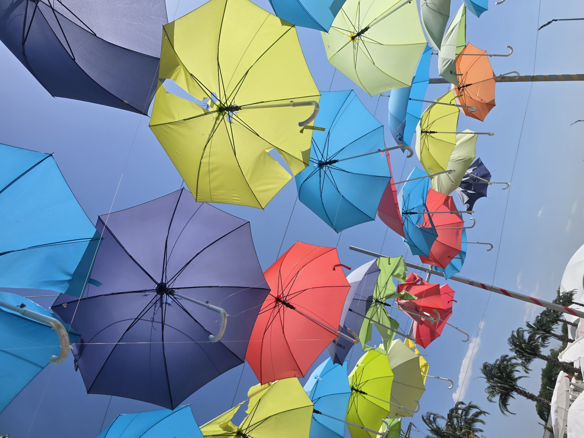 An outdoor scene featuring numerous colorful umbrellas suspended in the air against a bright blue sky. The umbrellas are of various colors, including blue, purple, yellow, red, and green, and are displayed at different heights and angles. Some umbrellas are open, while others are closed. In the background, palm trees and white structures, possibly tents or canopies, are visible. A tall pole with red and white stripes is also present in the foreground, partially obscured by the umbrellas. The overall impression is a festive and whimsical display.