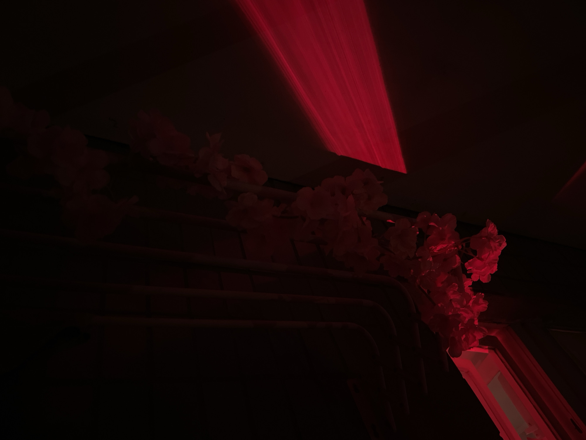 The image captures a dark indoor setting illuminated predominantly by red light. Across the upper part of the frame, prominent, parallel streaks of intense red light diagonally cut through the darkness, suggesting a laser projector or a specific theatrical lighting effect. Below these light beams, dark, horizontal pipe-like structures or architectural elements span from the left towards the center of the image. Draped over these structures and extending towards the right side are clusters of faux flowers, possibly cherry blossoms, which are vividly highlighted by the red light, making them appear to glow against the dark background. A partial view of an opening, possibly a window or door frame, is visible on the far right, also saturated with the deep red illumination. The scene conveys a moody, atmospheric ambiance, typical of a club, bar, or an event space at night or in an artificially darkened environment. No people are present, and there is no discernible activity or visible text.