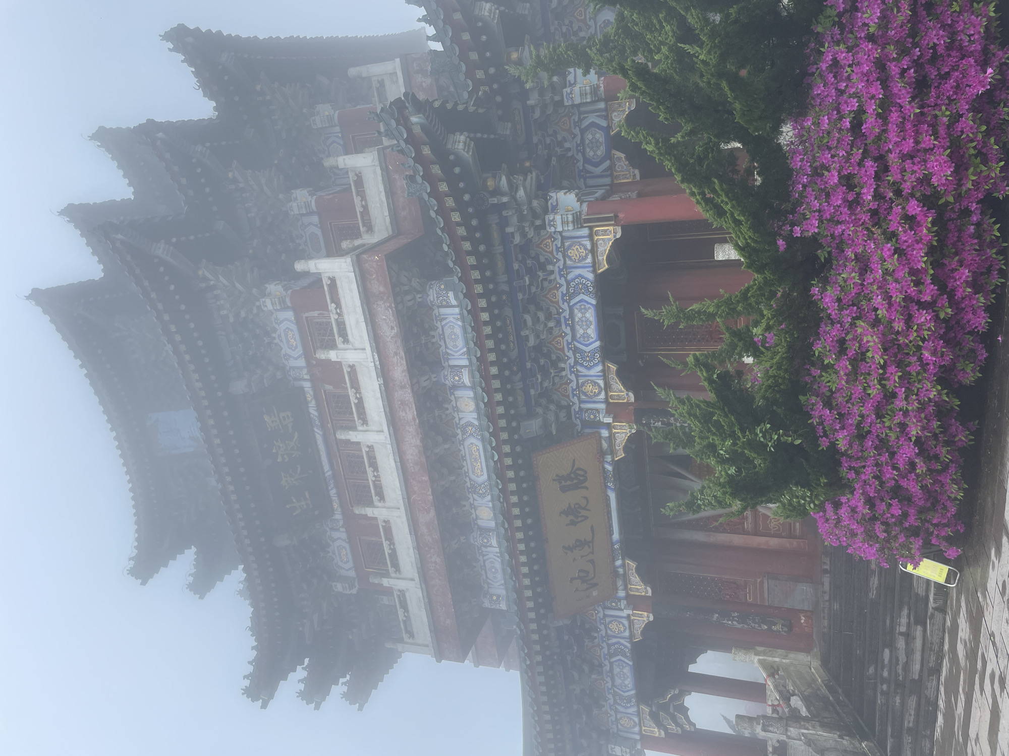 This image, likely taken in Yongding District, China, depicts a traditional Chinese building obscured by fog. The structure features multiple tiers of elaborately decorated roofs, with red, white, and blue painted details visible through the mist. A sign with Chinese characters is attached to the building. To the right of the building, there are evergreen trees and a vibrant cluster of purple flowers. The ground in the foreground appears to be a stone pathway or steps. The heavy fog creates a sense of mystery and obscures the full details of the scene.