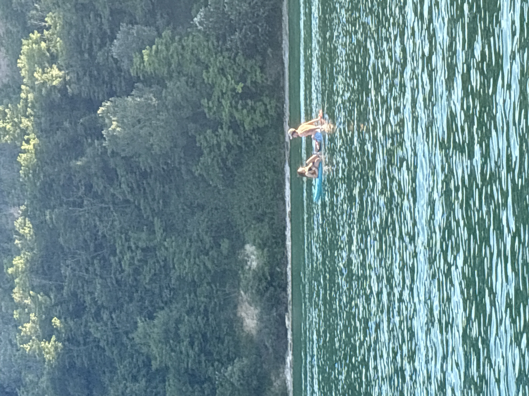 Two individuals are seen on paddleboards on a body of water. The person on the left, in a dark bikini, is sitting upright, facing the person on the right. The person on the right, appearing to be male with a hat and no shirt, is also sitting upright, facing the person on the left. Both are on separate paddleboards, with the person on the right slightly ahead and to the right of the person on the left. The water is a vibrant green with visible ripples and reflections. In the background, a dense line of trees forms a backdrop, suggesting a natural or park-like setting. The lighting indicates it is daytime, possibly late afternoon with the sun casting light on the upper foliage of the trees.