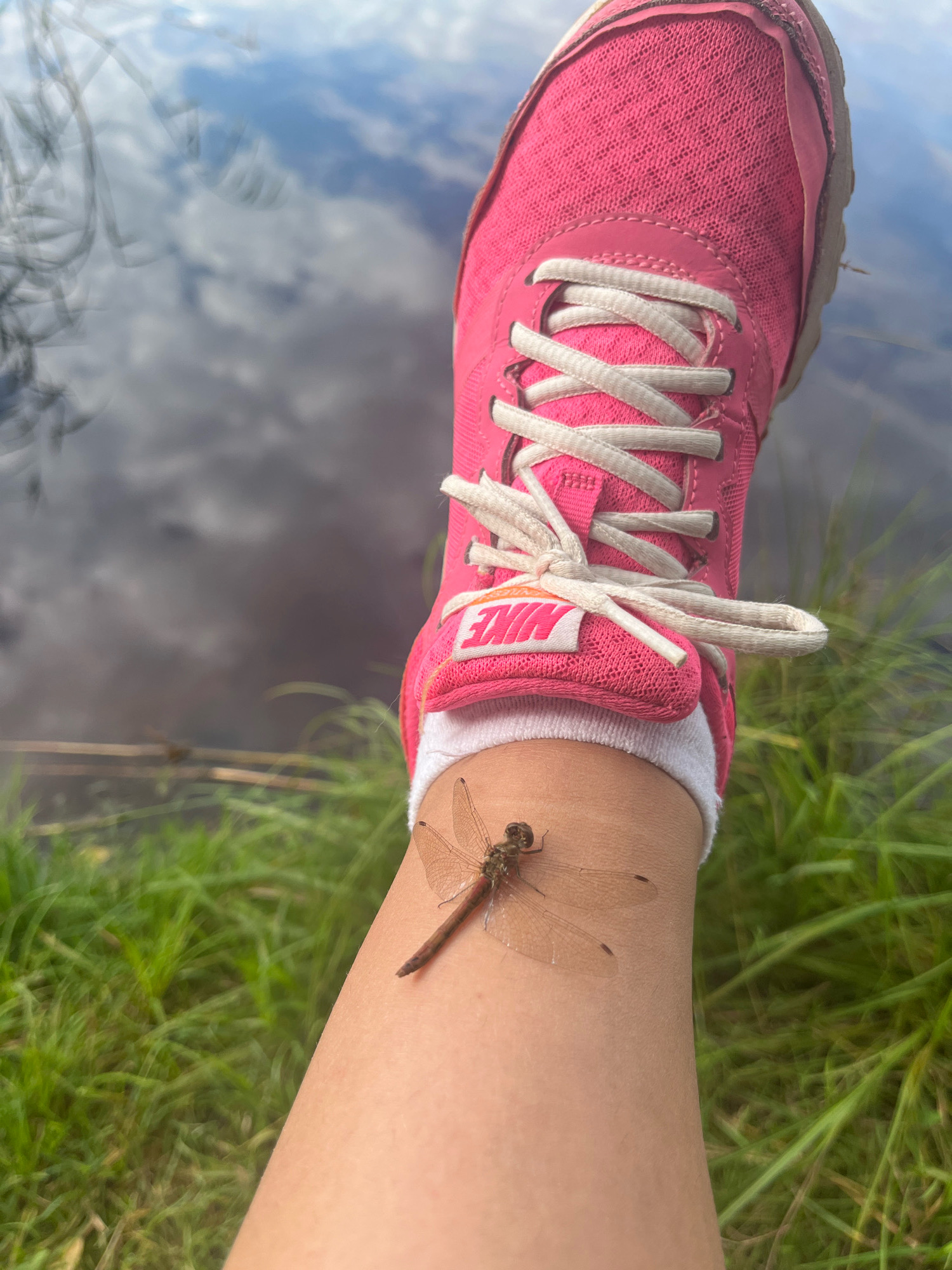 A close-up, eye-level outdoor shot shows a person's right foot and lower leg, positioned over a body of water that reflects the sky and some dry vegetation. The foot is encased in a bright pink Nike athletic shoe with white laces and a white sock. A brown and clear-winged dragonfly is perched on the person's bare skin just above the sock line. Green grass is visible in the foreground and background. The scene is set in Raudoja, Estonia.