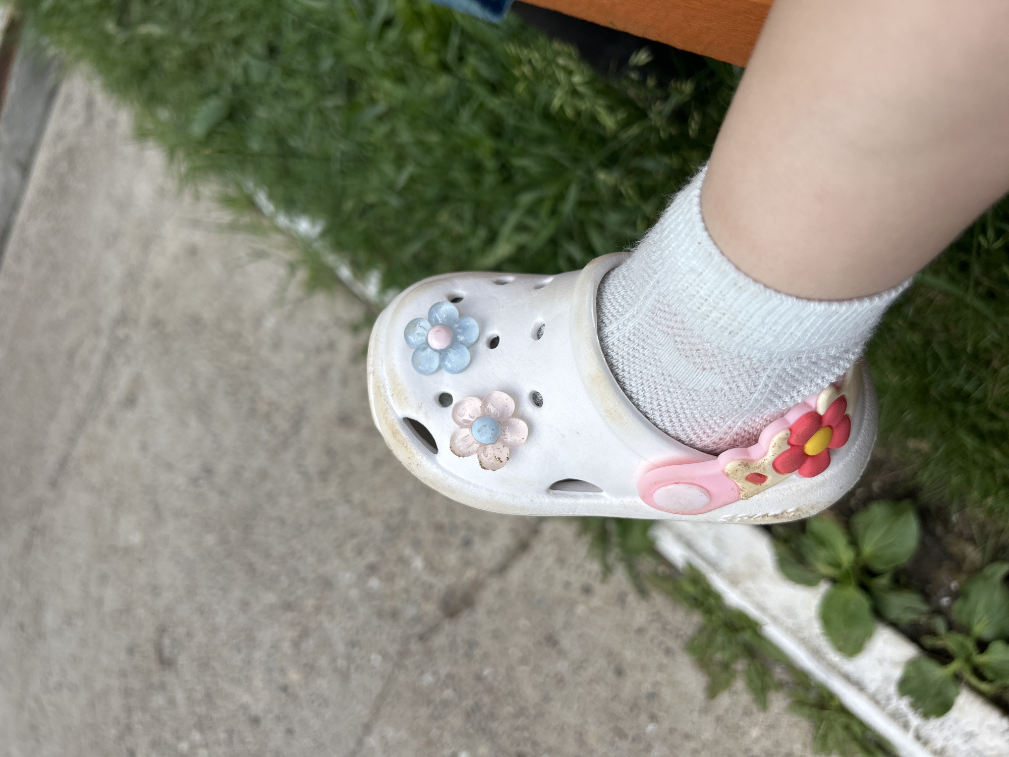 The image shows a close-up of a child's white Croc shoe adorned with flower-shaped Jibbitz. The shoe is worn with a white sock. The background consists of a concrete pathway and green grass, suggesting an outdoor setting, possibly in Noviy, Russia. The lighting suggests it is daytime. The focus is on the footwear.