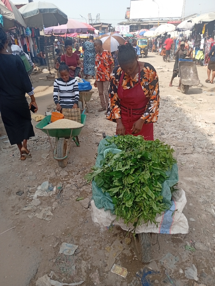 A bustling market scene shows vendors and customers amidst wares. A woman in a floral top and red apron tends to a large bundle of leafy greens on a handcart. Nearby, another individual in a striped shirt stands by a wheelbarrow filled with grains. People walk between rows of stalls covered by umbrellas. The ground is a mix of dirt and debris. A tricycle is visible in the distance.