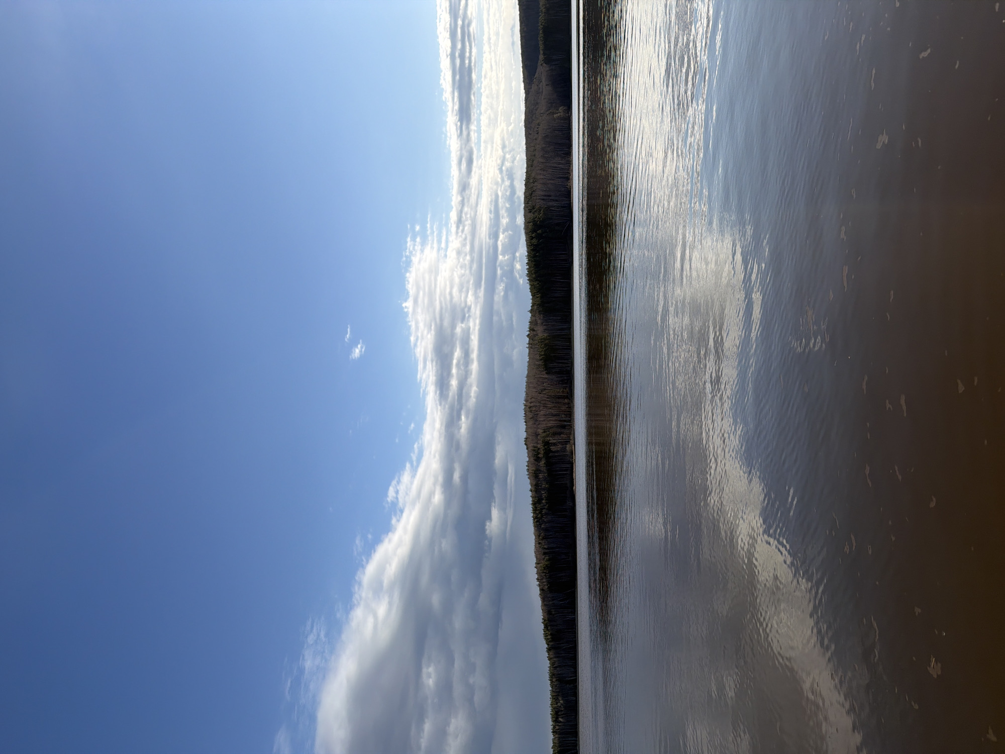 This landscape photograph, taken in Chaykovsky, Russia, captures a serene natural scene featuring a wide body of water, a distant treeline, and a dynamic sky.
The upper portion of the image reveals an expansive sky, with a clear, vibrant blue on the left transitioning to a partly cloudy expanse on the right. A prominent band of white and grey clouds stretches horizontally across the sky, brightly illuminated by direct sunlight, which also creates a visible glare in the upper right.
Below the sky, a dark, dense treeline forms a low, continuous horizon. This forest, likely composed of coniferous or bare deciduous trees, outlines the far bank of the water body, appearing as a solid, dark mass against the brighter sky.
The lower half of the frame is dominated by the surface of the water, which acts as a vast mirror. It reflects the sky above, showcasing the bright clouds and patches of blue. Gentle ripples on the water's surface distort these reflections into shimmering patterns of light and shadow, giving the water a varied appearance of blues, greys, and earthy tones.
The scene depicts bright daytime, likely late morning or early afternoon, characterized by clear visibility and partly cloudy weather. There is no visible human activity, specific objects, or text in the image, emphasizing the natural beauty and tranquility of the location.