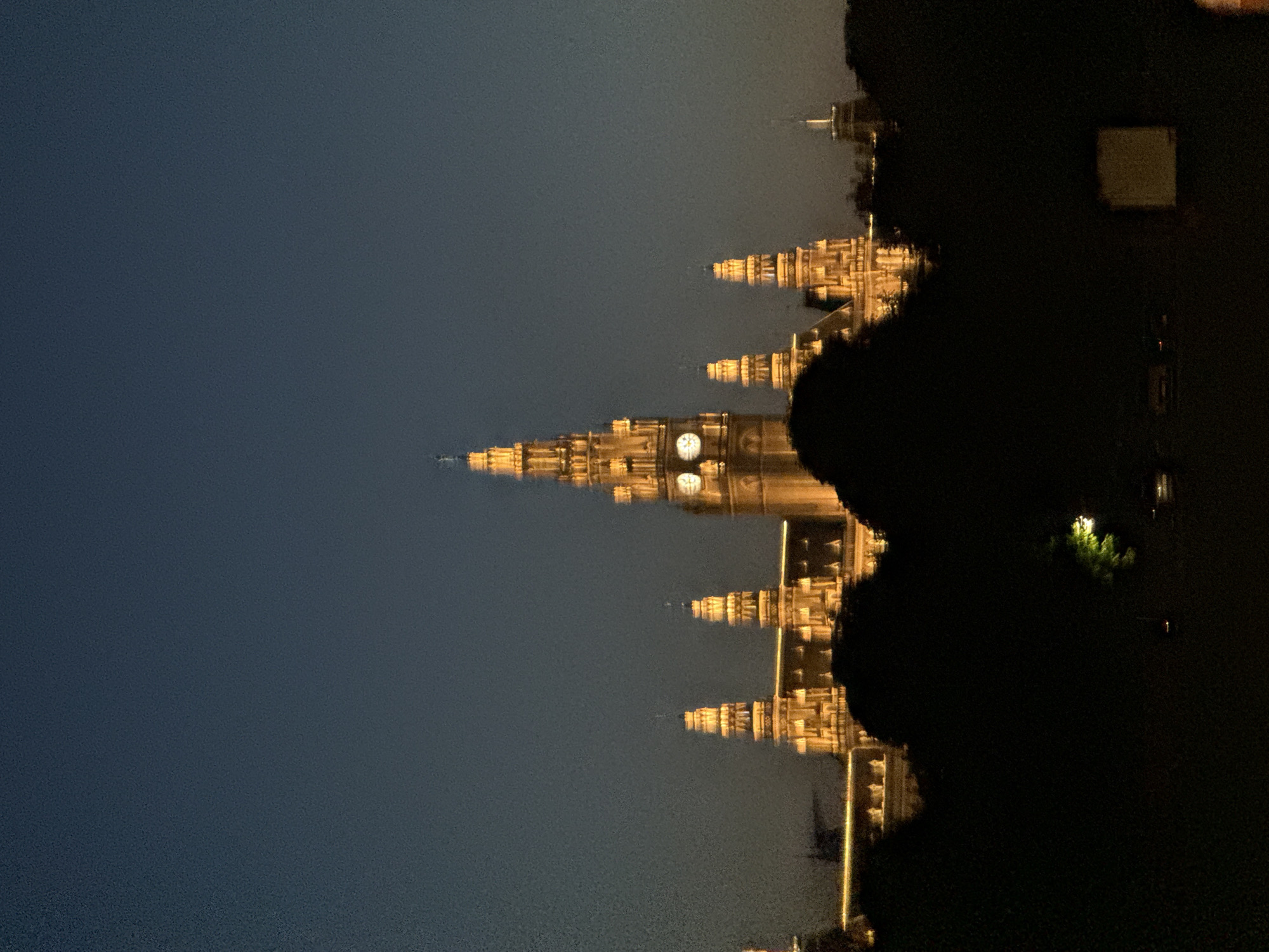 The image shows the Rathaus (City Hall) in Vienna, Austria, at dusk. The iconic Gothic Revival building is illuminated with warm yellow lights, highlighting its intricate spires and clock tower. The foreground is dominated by a dark silhouette of trees and foliage, obscuring the ground level. The sky is a deep, dusky blue, indicating the transition from day to night. There are no people or discernible actions visible in the scene.