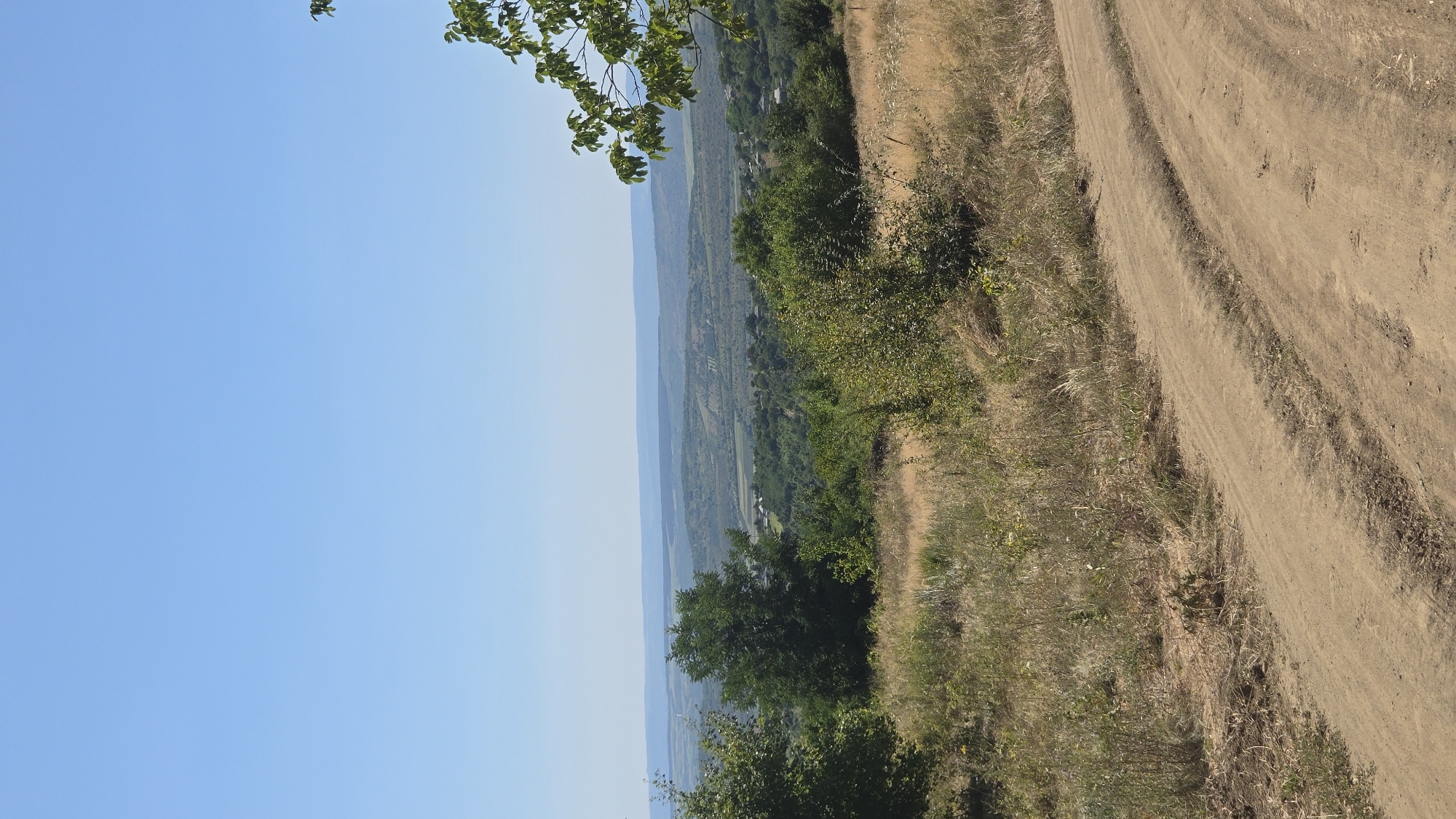 The image depicts a panoramic view of a rural landscape under a clear blue sky. In the foreground, a dirt road curves upwards and to the right, with dry grass and sparse vegetation on either side. The middle ground is dominated by a dense expanse of green trees and bushes, with a few scattered houses visible through the foliage, suggesting a small village or settlement. Beyond this, the landscape unfolds into rolling hills and valleys, layered with different shades of green and blue, indicating distance and atmospheric perspective. The farthest horizon is a hazy, pale blue line. On the right side of the image, the branches of a leafy tree extend into the frame, partially obscuring the sky. This scene is characteristic of the countryside surrounding Bălănești, Moldova, likely captured during daylight hours in a season with dry vegetation.