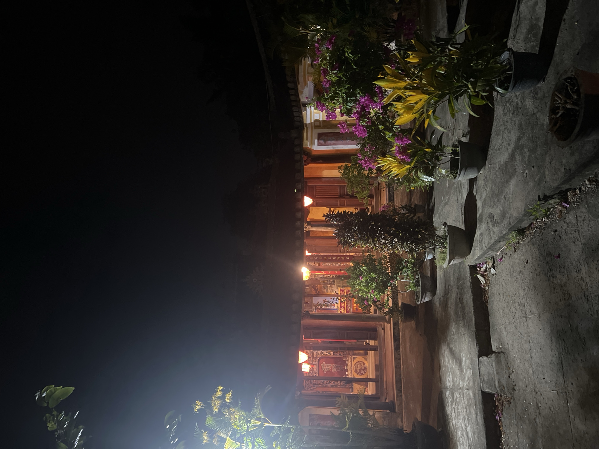 A nighttime scene captures an outdoor courtyard in front of a building in Hoi An, Vietnam. The building, constructed of wood and painted in warm tones of yellow and brown, features a covered porch supported by columns. Red lanterns hang from the porch roof, casting a warm glow. The interior of the building is dimly lit, revealing ornate decorations and what appears to be religious iconography.
The courtyard floor is paved with concrete tiles, showing signs of age and wear. Several potted plants are arranged throughout the space. In the foreground, a row of potted plants includes those with vibrant yellow and pink foliage, interspersed with larger shrubs. To the left, a tall palm-like plant with yellow flowers stands out, illuminated by a light source not directly visible in the frame. Shadows are cast by the plants and the building, creating a dramatic effect in the low light conditions. The background is dark, indicating it is nighttime. No people are visible in the image.