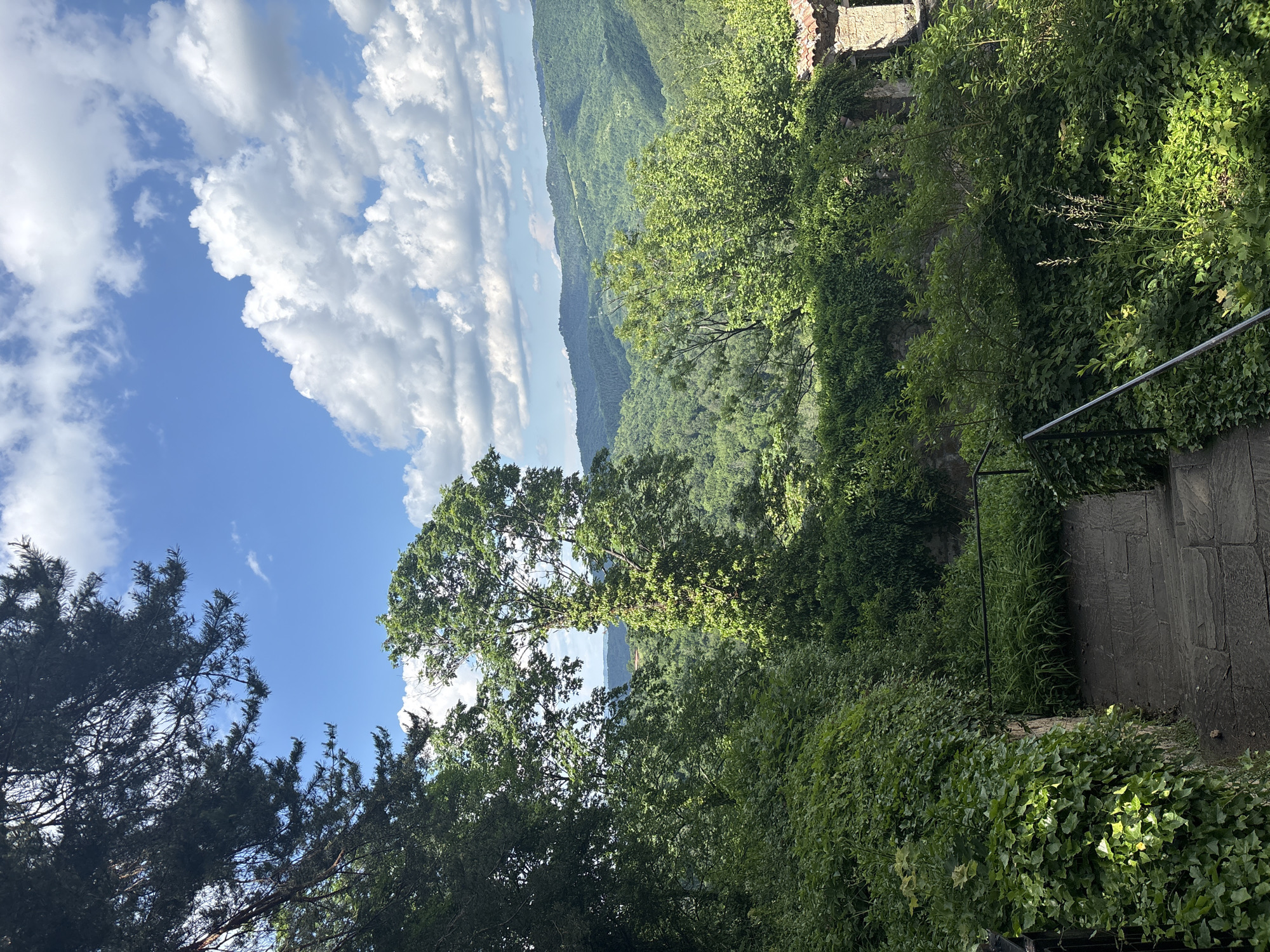 The image displays a verdant landscape under a blue sky, located in the city of Charkovo, Bulgaria. The upper third of the frame features a clear blue sky with scattered white cumulus clouds. The lower two-thirds are dominated by dense green vegetation, comprising various species of trees, bushes, and ground cover. In the foreground, a set of dark grey, irregular stone steps descends towards the lower-center. A black metal handrail is visible alongside these steps, extending from the bottom-left corner. To the immediate left of the steps, a stone retaining wall is completely covered in common ivy (Hedera helix). The mid-ground reveals a deep valley system heavily forested with a mix of deciduous trees, exhibiting multiple shades of green. A prominent, tall, slender tree in the mid-ground is almost entirely enveloped by a dense climbing vine. In the distant background, a series of undulating hills, also densely forested, extends to the horizon. On the far right, partially obscured by foliage, are visible sections of a rustic structure, including a terracotta-tiled roof and stone walls. The scene is illuminated by direct sunlight. No human subjects or animals are present.