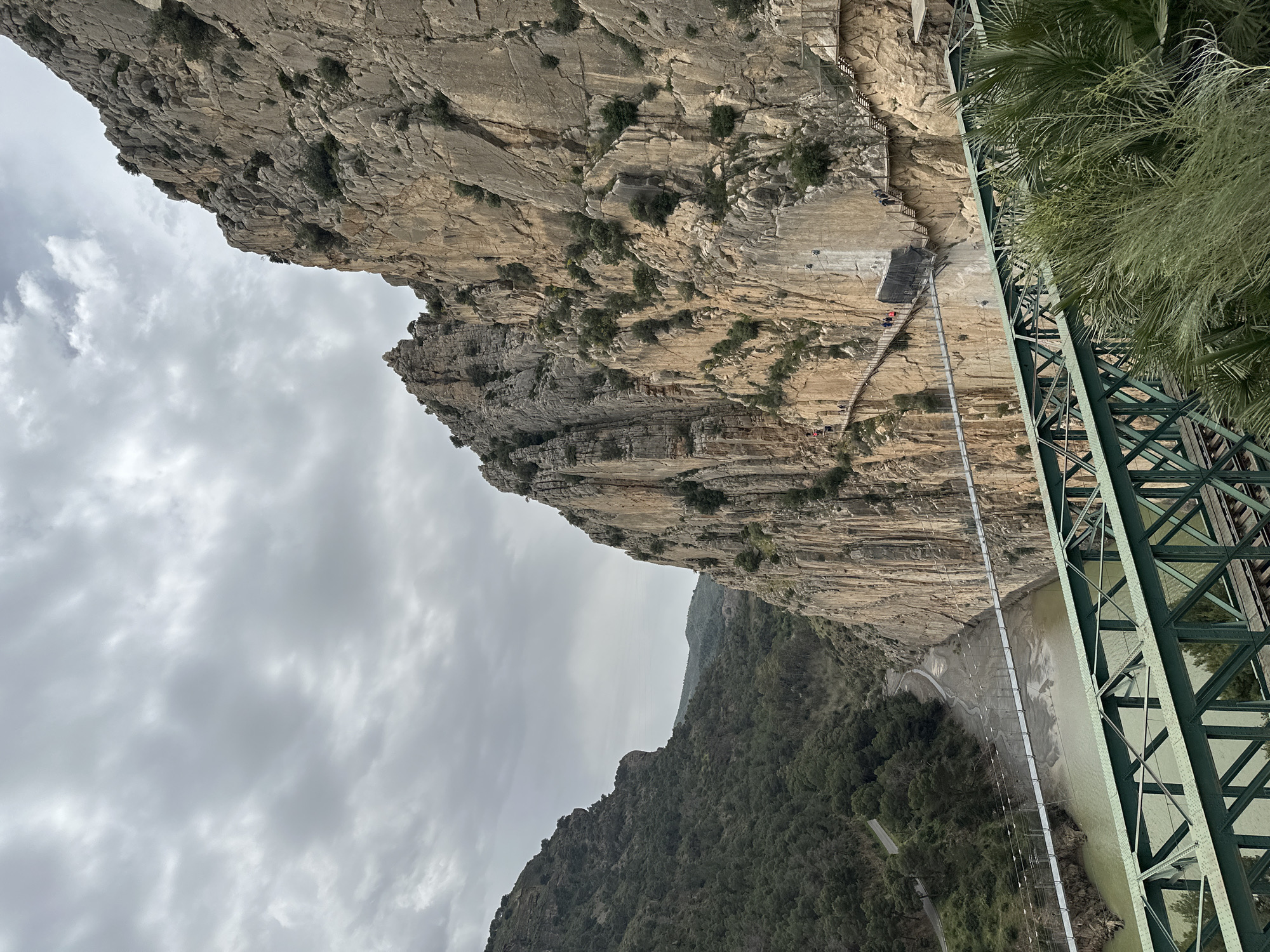 The image depicts a dramatic view of a deep, rocky gorge in Álora, Spain, likely the Desfiladero de los Gaitanes, home to the Caminito del Rey. The scene is dominated by towering, light brown and gray cliffs on both sides.
On the left cliff face, a narrow, modern walkway of the Caminito del Rey is clearly visible, clinging precariously to the sheer rock. Several small figures, likely hikers or tourists, can be seen traversing this path. Below, remnants of an older, dilapidated pathway and some historical infrastructure, possibly related to hydroelectric activity, are also integrated into the cliff.
In the immediate foreground on the right, a large, green, metallic bridge structure frames the shot, partially obscured by green foliage, including palm fronds. This structure appears to be a viewing platform or part of another crossing point. A murky green river flows at the bottom of the gorge, and a modern suspension bridge, also part of the Caminito del Rey, spans across it, connecting different sections of the path.
Beyond the cliffs, rolling, tree-covered mountains extend into the distance. The sky is overcast with thick, gray clouds, indicating a cloudy daytime. The perspective is from a high vantage point, emphasizing the impressive scale and verticality of the landscape. No visible text is present in the image.