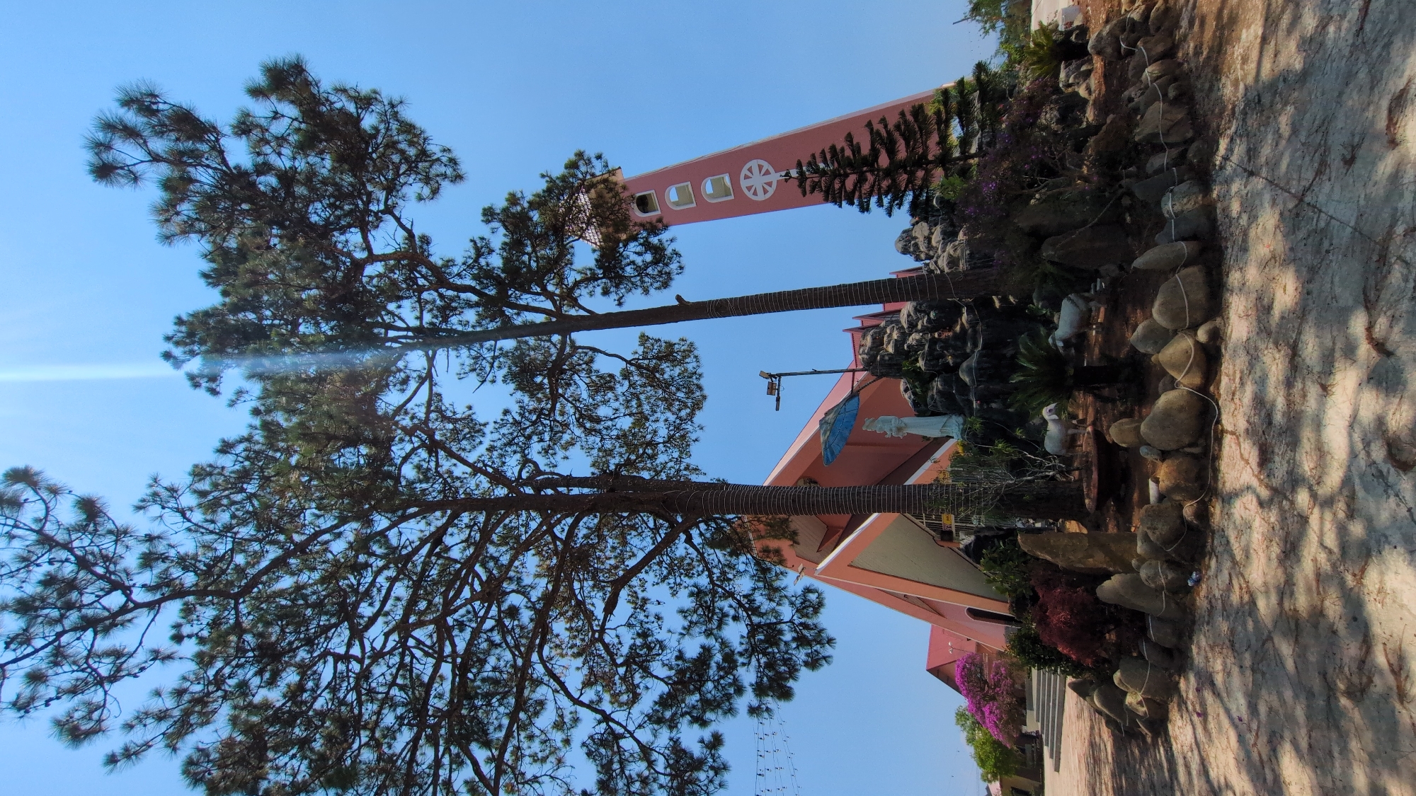 The image depicts a tall, pink building with a tower, presumably a church or temple, in Đa Thọ, Vietnam. The building has a white symbol on the tower. Two tall, pine trees stand in front of the building. A rocky landscape with vegetation surrounds the building's base. The sky is clear and blue. The foreground shows a concrete walkway with shadows.