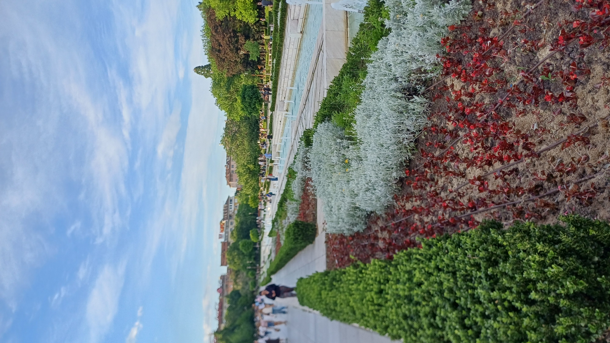 This is a vertical, full shot of the Borisova Gradina park in Sofia, Bulgaria. The foreground is dominated by meticulously maintained flower beds. Closest to the viewer is a dense, low hedge of dark green bushes. To its right, rows of small, young plants with red leaves are planted in sandy soil, crisscrossed by thin irrigation tubes. Behind these red plants, a bed of feathery, silver-gray foliage stretches further back.
Beyond the flower beds, a wide paved walkway runs parallel to a long, rectangular water feature or canal with fountains. Several people are walking along this path, mostly out of focus. Some are strolling, while others appear to be conversing.
In the middle ground, beyond the water feature, more trees and landscaping are visible. The background features a line of buildings with red-tiled roofs, characteristic of Sofia's architecture, interspersed with more mature trees. The sky above is a bright blue with scattered wispy white clouds, indicating a pleasant daytime scene. The overall impression is one of a well-kept urban park during a leisurely time of day.