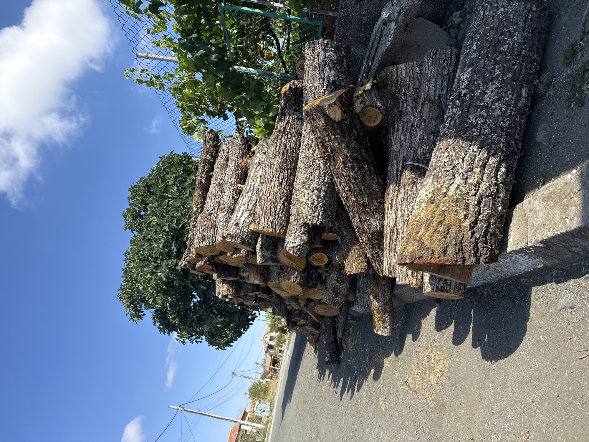 A pile of freshly cut logs is stacked along the side of a paved road in the village of Ekzarh Antimovo, Bulgaria. The logs are of varying sizes and have rough, bark-covered surfaces. The road is bordered by a concrete curb and a patch of dry grass. In the background, there are houses with red tile roofs, utility poles, and a lush green tree. A chain-link fence with green foliage is visible to the right of the logs. The sky above is a clear blue with a few white clouds. The scene appears to be in a rural or semi-rural setting, likely during daylight hours.