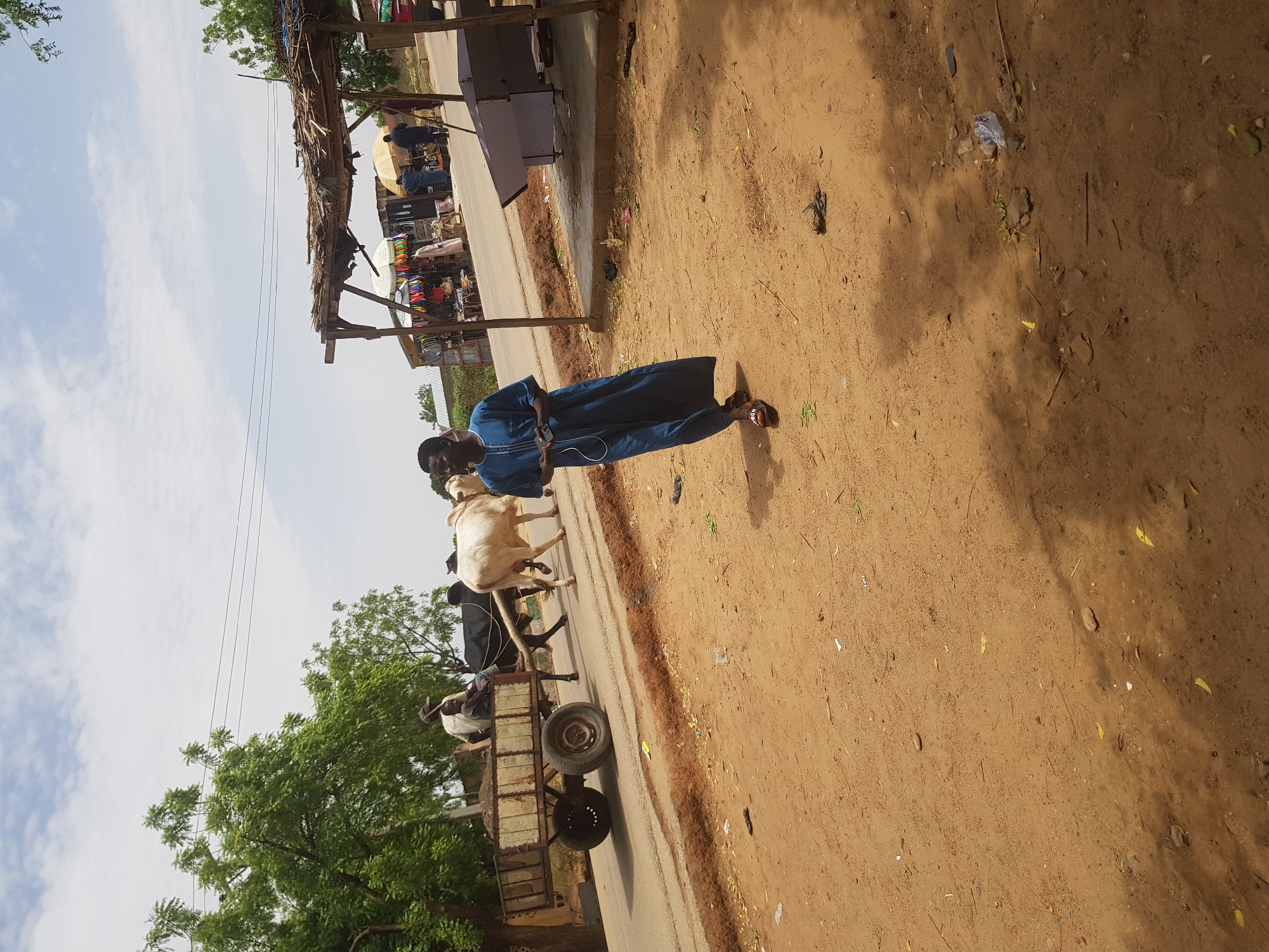 In Dabawa, Nigeria, a man in a blue robe stands on a dirt shoulder next to a road. He is holding a cell phone. The road has a simple wooden shelter on one side with various items for sale beneath it. A cart pulled by two cows is in the road behind the man. The road is bordered by trees and a dirt shoulder. The sky is cloudy.