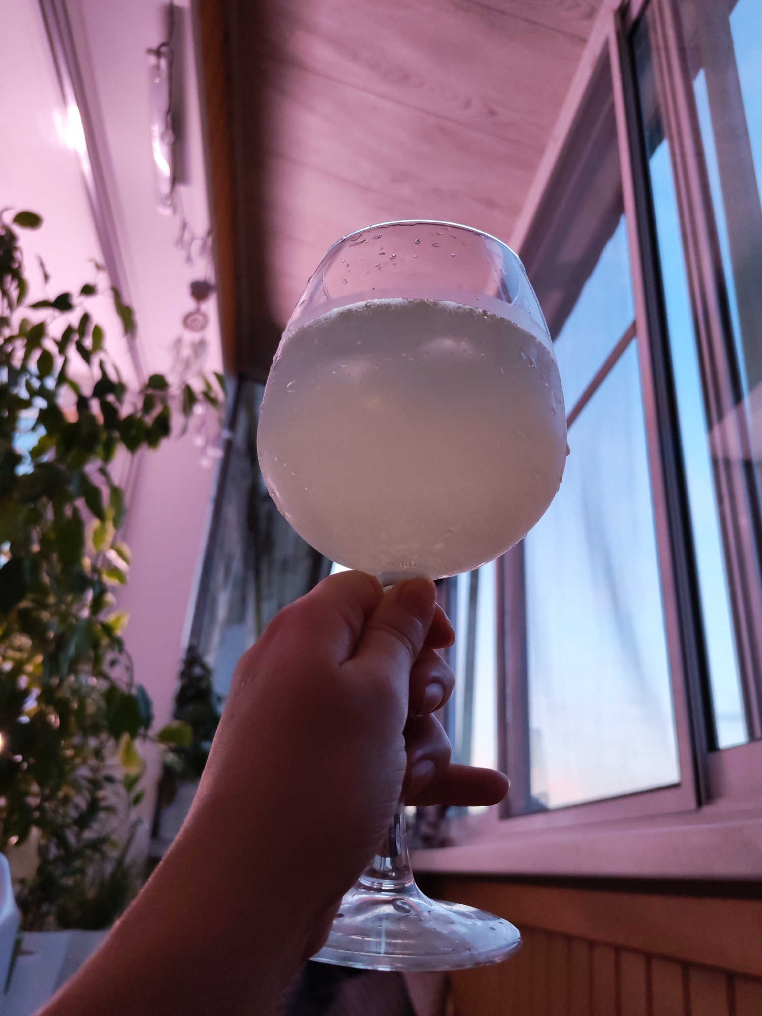 A hand holds a stemmed glass filled with a pale, effervescent liquid, likely a cocktail or beverage, against a background of a window overlooking an urban landscape, possibly during twilight or dawn. The window frames a view of buildings and the sky, which exhibits a gradient of pink and blue hues. The interior space features elements of a balcony or patio, with a wooden railing and plants visible on the left side, suggesting a residential setting. The overall lighting is soft and atmospheric, with the pink tones indicating artificial or reflected light from an interior source, while the blue sky suggests the outdoor environment. The image does not provide specific identifiable landmarks or elements to pinpoint a precise location within Izhevsk, Russia, beyond a general urban setting with typical architectural features and plant life.