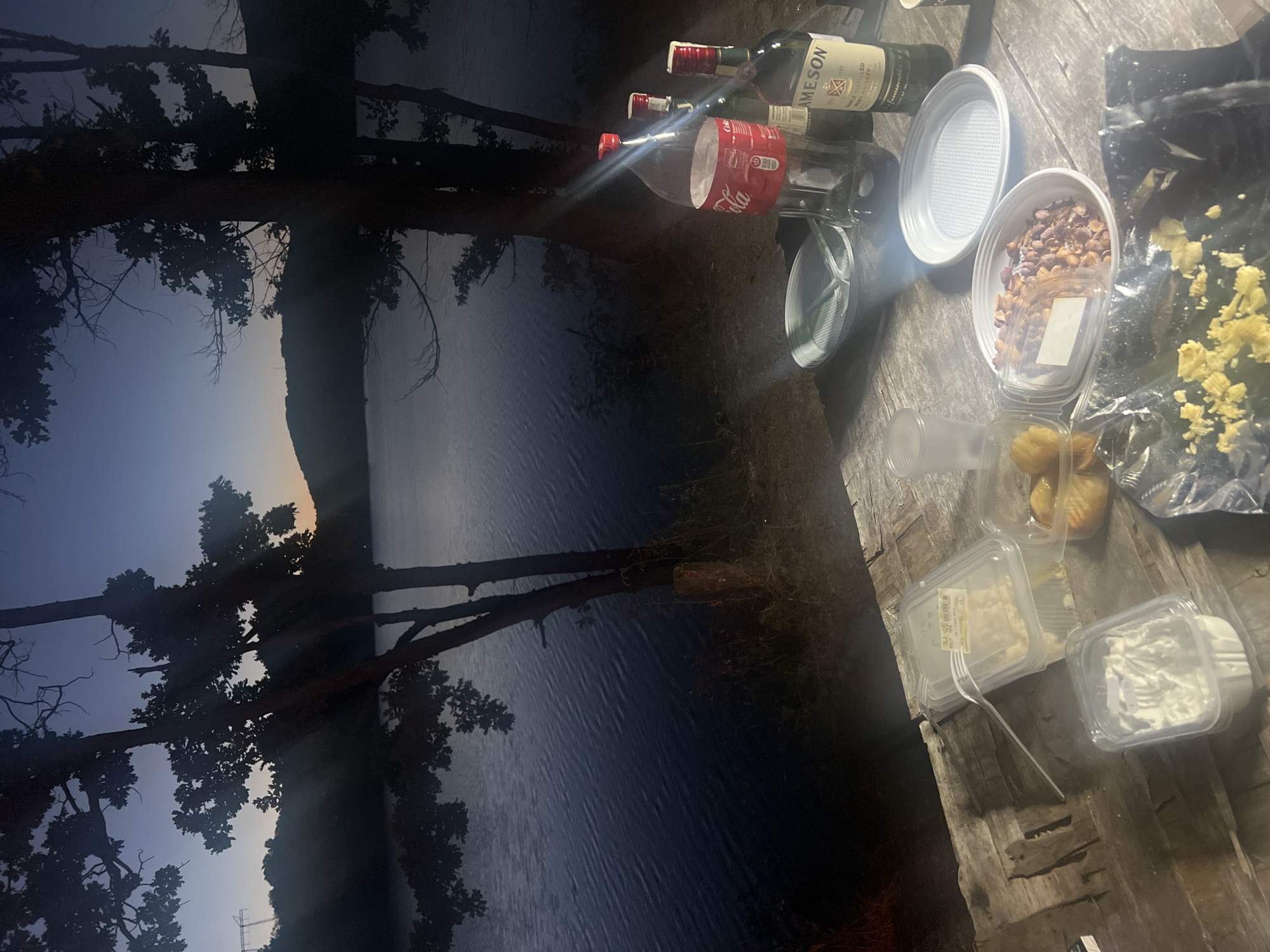 The image depicts an outdoor gathering at dusk by a body of water, likely a lake, with silhouetted trees framing the scene. On a rustic wooden table in the foreground, there are several food containers with what appears to be snacks and dips, plastic plates, cutlery, a bottle of Coca-Cola, and a bottle of Jameson Irish Whiskey. The environment suggests a relaxed evening setting, possibly a picnic or a casual get-together. The location is specified as Brachkovtsi, Bulgaria. The time of day is indicated by the twilight sky and the dim lighting, casting long shadows and creating a serene atmosphere.