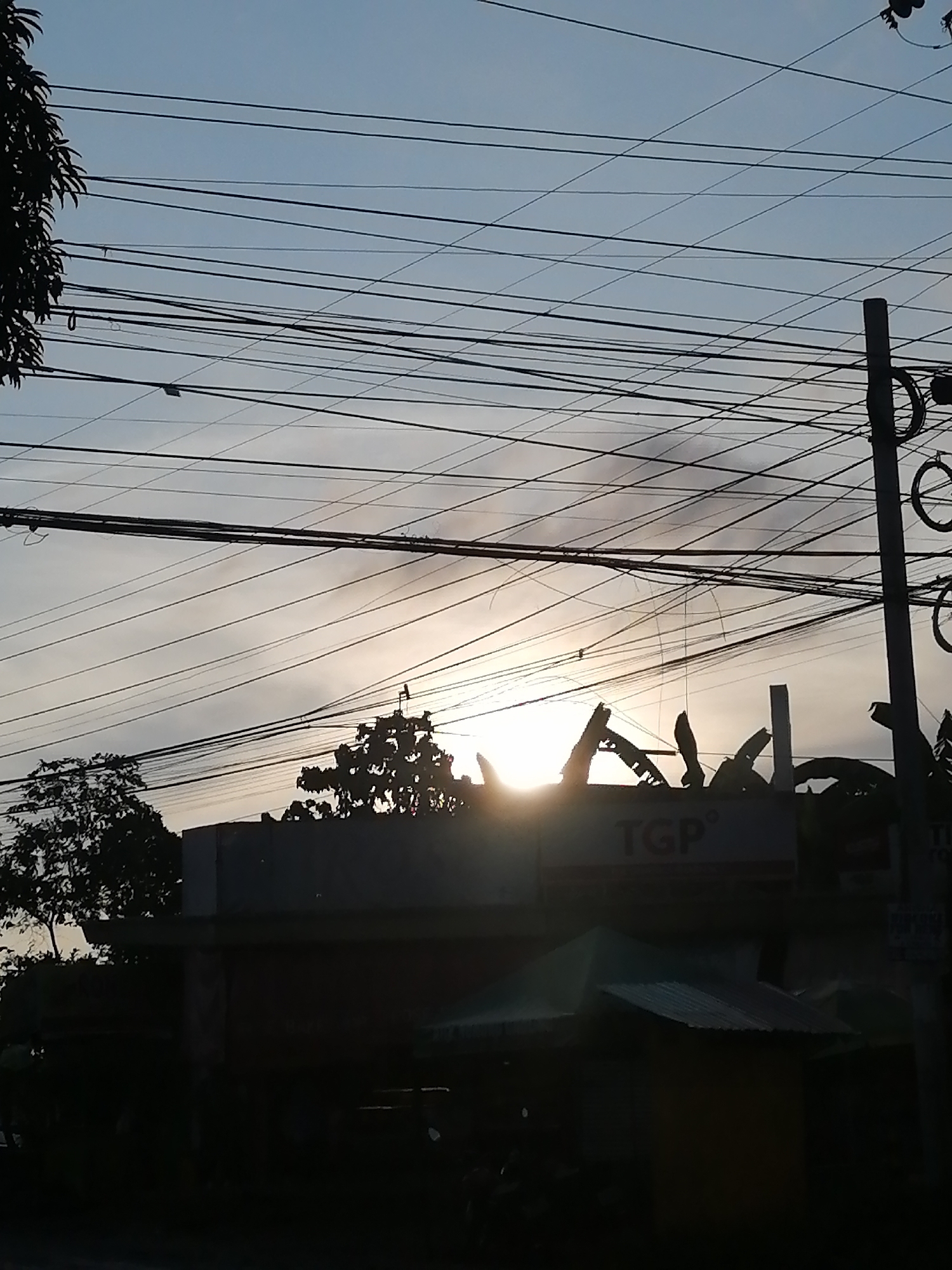 The image presents an outdoor scene at either sunrise or sunset, characterized by a bright, low-hanging sun creating a strong backlighting effect. The sky transitions from a warm, glowing hue around the sun to a pale blue-grey higher up, crisscrossed by a dense network of black electrical and communication wires. These wires dominate the upper half of the frame, creating intricate patterns against the sky.
Silhouetted against the sky are dark masses of trees and foliage on the left and in the middle, with some broad leaves, possibly banana leaves, visible near the sun. To the right, a dark utility pole stands vertically, adorned with circular coiled wires.
Below the horizon, dark silhouettes of buildings and other structures are discernible. A prominent sign on one of these buildings displays the bold letters "TGP," which are softly illuminated by the sun's glow. Hints of other text, possibly "RE" and "GENERIC...", are barely visible on an adjacent sign to the right. The lower part of the image, including the base of the buildings and the street level, is largely obscured in deep shadow, hinting at additional structures and possibly vehicles.
There are no people or specific activities depicted; the scene is a static observation of the urban landscape. The low angle of the sun indicates either dawn or dusk, lending a tranquil and contemplative atmosphere to the bustling setting. The visible text "TGP" (referring to The Generics Pharmacy, a common chain in the Philippines) and the dense overhead wiring are strong contextual cues, consistent with the provided location of Davao City, Philippines.