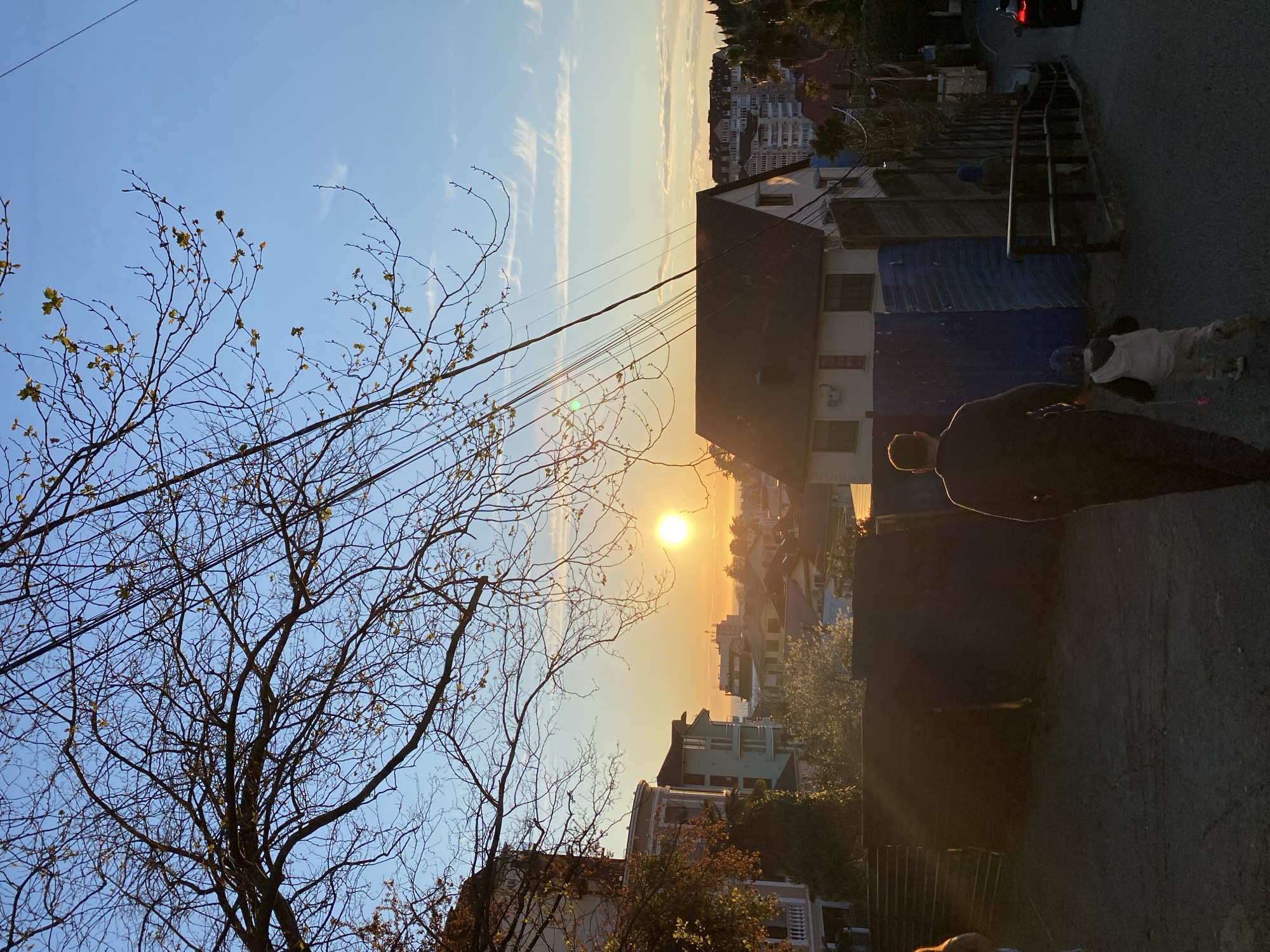 The photograph captures a scene in Sochi, Russia, at sunset. The sun is setting over the city, casting a warm glow on the buildings and trees. A bare tree is in the foreground, with its branches reaching up towards the blue sky. Power lines run across the sky. In the mid-ground, there are buildings of various heights and architectural styles. On the right of the frame, a person stands on a paved street next to a young child walking a dog. A set of stairs runs parallel to the street. A car is parked at the top of the stairs in the distance.