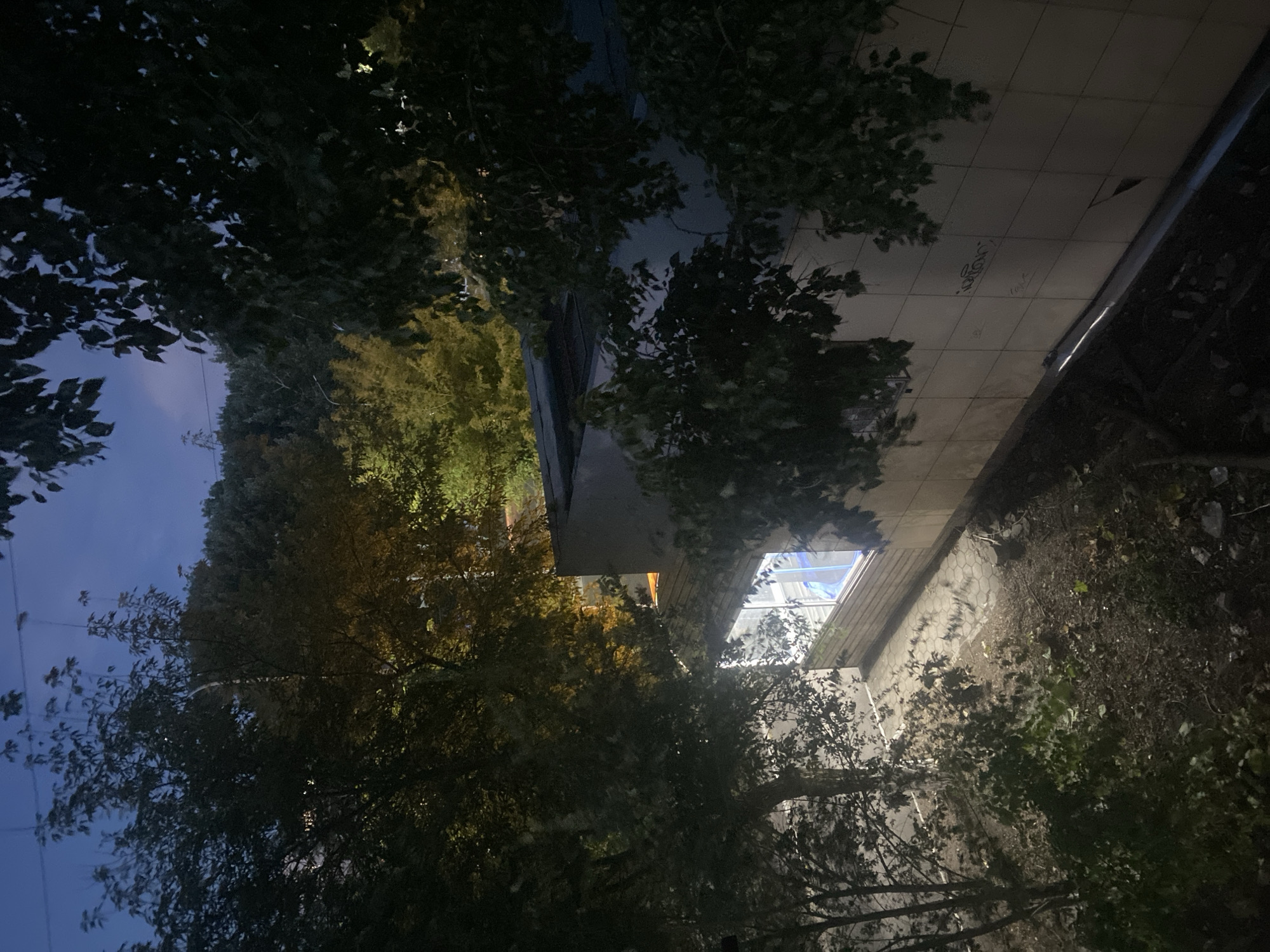 The image depicts a nighttime scene in Temirtau, Kazakhstan, focused on a building with a brightly lit window. The building appears to be a low-rise structure with a tiled exterior. Trees with dense foliage overhang the building and the surrounding area, obscuring some of the view. The ground beneath the trees is covered with dirt, leaves, and debris. In the background, a hazy sky suggests a twilight or night setting. The overall atmosphere is subdued and slightly eerie due to the low light conditions and the interplay of shadows and artificial illumination. There are no people visible in the frame.