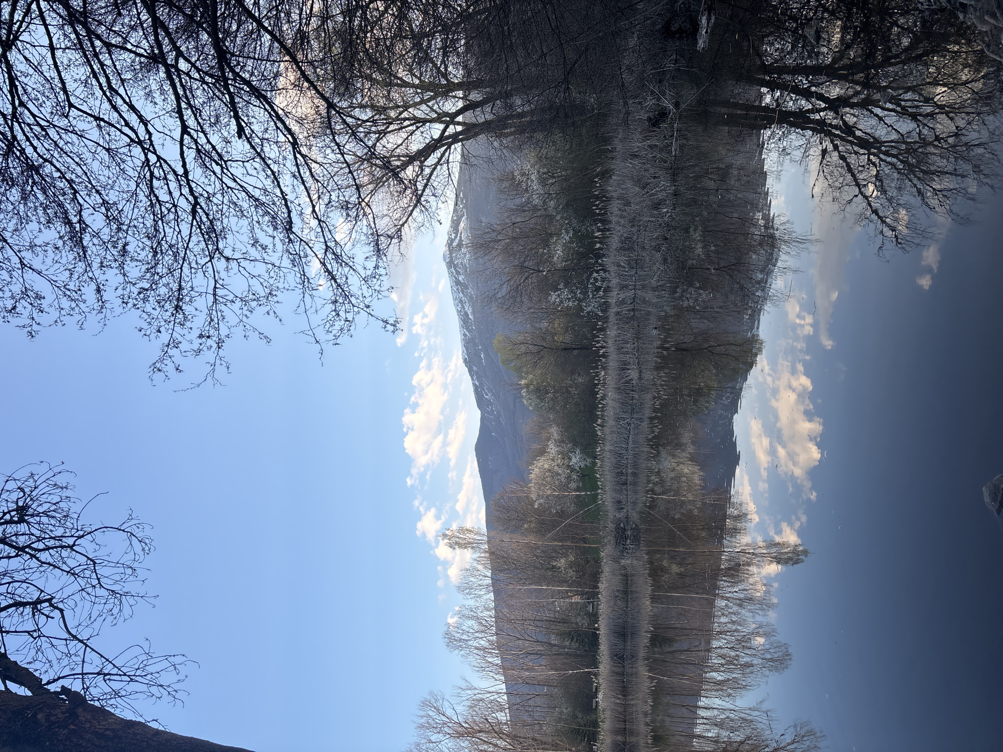 The image shows a landscape with a body of water reflecting trees and a mountain in the background. The sky is blue with scattered white clouds. The foreground features bare tree branches silhouetted against the sky. The reflection in the water creates a symmetrical composition. It is hard to determine if the image is taken in Sofia.