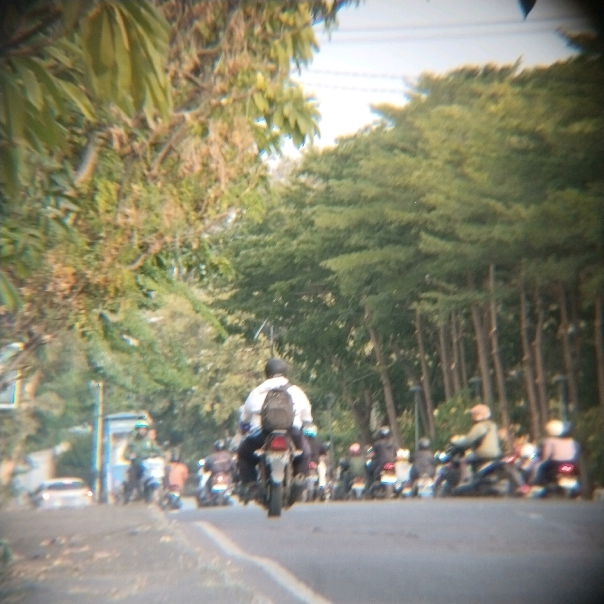 The image captures a street scene, likely in Surabaya, Indonesia, characterized by a row of trees lining the right side of a road. Several motorcycles are present, with a prominent motorcycle in the foreground carrying a person wearing a white top and a backpack. This individual appears to be the primary subject of focus. To the left, a white car is visible on the side of the road. The overall atmosphere suggests a daytime setting with natural lighting. The image is slightly out of focus, giving a soft and somewhat impressionistic quality to the scene.