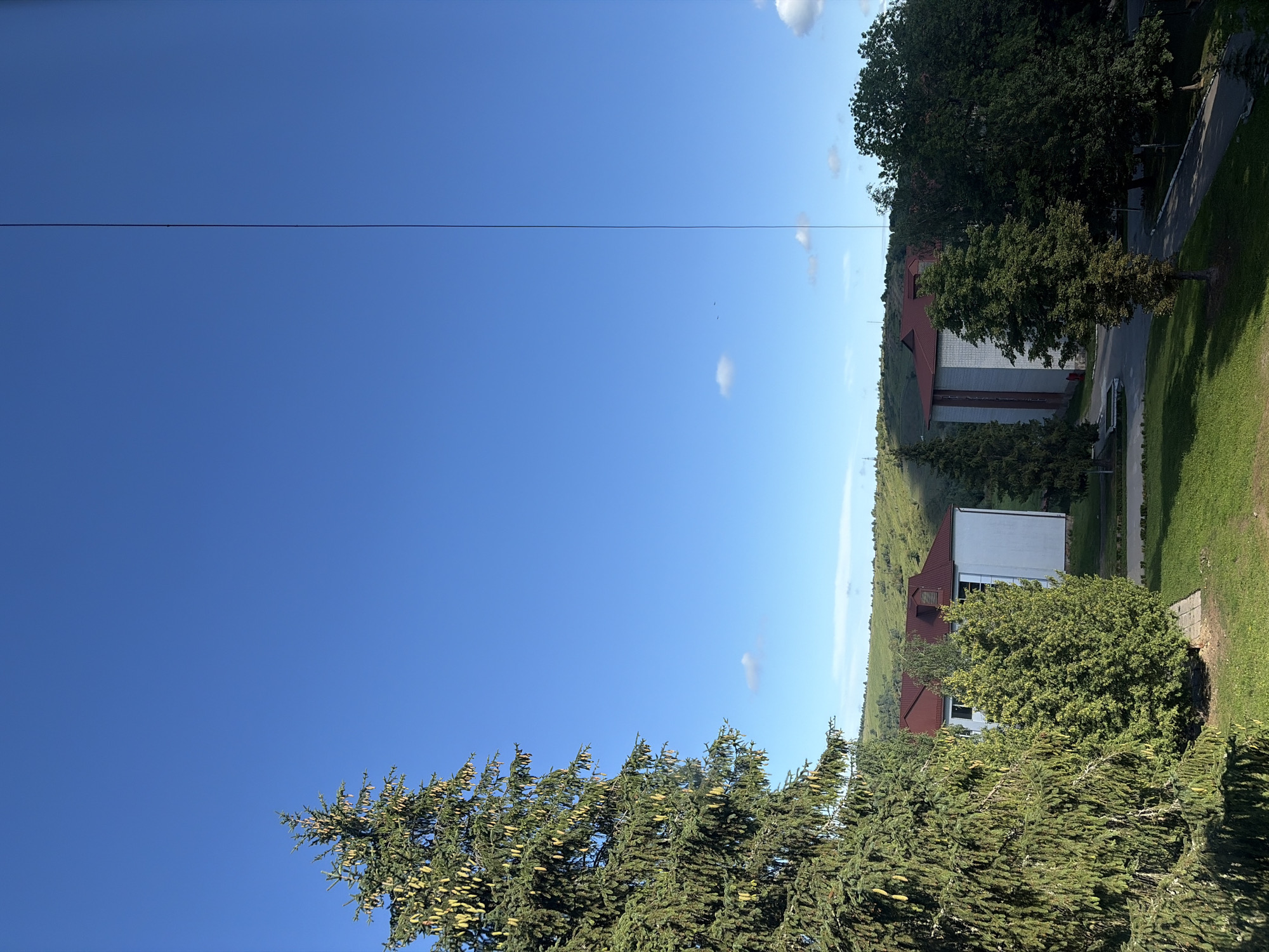A vertical, full-frame, eye-level shot shows a clear blue sky with a very thin, vertical black line extending from the top of the frame to the bottom. In the lower portion of the image, a large evergreen tree with cones occupies the left side, partially obscuring a building with a red roof. To the right of this tree, a smaller evergreen tree is visible, and further to the right are more trees and another building. The ground in front of the buildings is covered in green grass and a paved pathway. The background consists of rolling, verdant hills under a bright, cloudless sky, with a few small white clouds scattered across the blue expanse. The overall scene depicts an outdoor environment with buildings and natural elements under a clear sky.