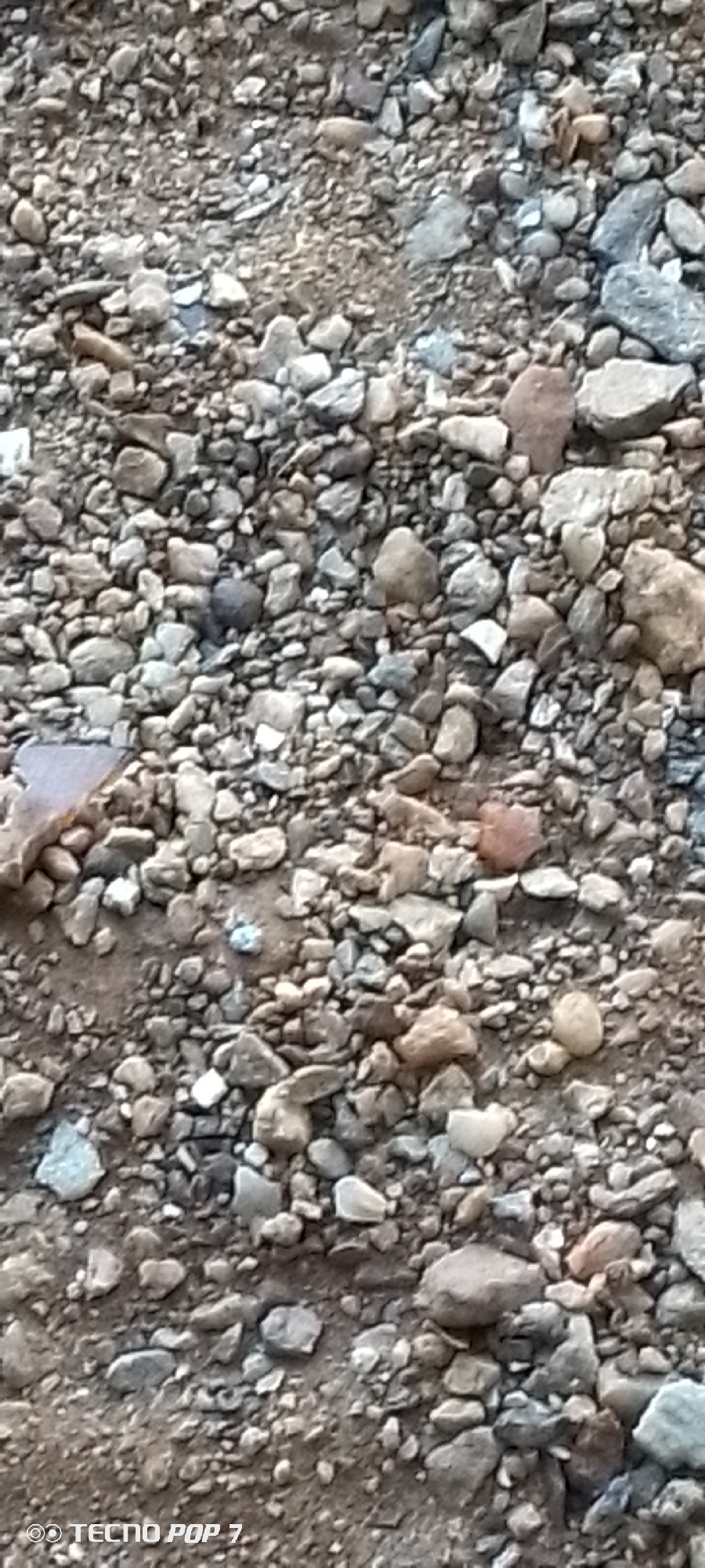 The image shows a close-up, top-down view of a patch of ground covered in gravel and small stones. The gravel is a mix of light gray, brown, and some reddish-brown stones, with occasional darker gray and black pieces. The ground beneath the gravel appears to be dirt or soil. There are no visible people, animals, or man-made objects other than what appears to be a watermark at the bottom left corner which reads "TECNO POP 7". The lighting suggests it is daytime, possibly outdoors in a natural or undeveloped area. The location is identified as Altagracia, Venezuela.