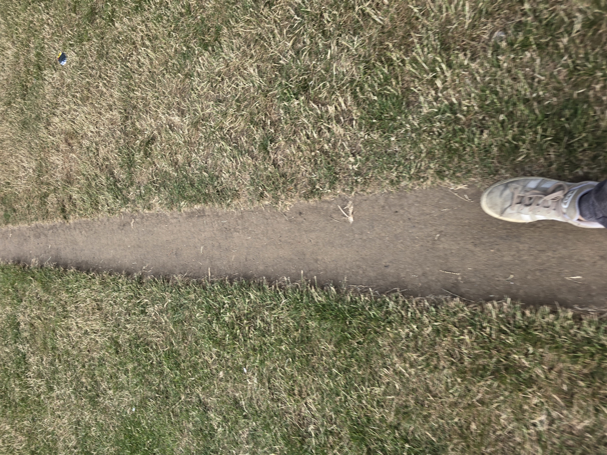 This is a first-person perspective, low-angle shot of a person walking on a dirt path beside a grassy area. The path is narrow and curves slightly to the right. The grass is dry and sparse in some areas, with patches of green and brown. There is a blue and yellow object, possibly trash, visible on the grass to the right of the path. The person's foot, wearing a light-colored athletic shoe, is visible in the lower right corner of the frame, suggesting motion blur. The environment appears to be an outdoor, public space, possibly a park or trail within the city of Stockton-on-Tees, United Kingdom.