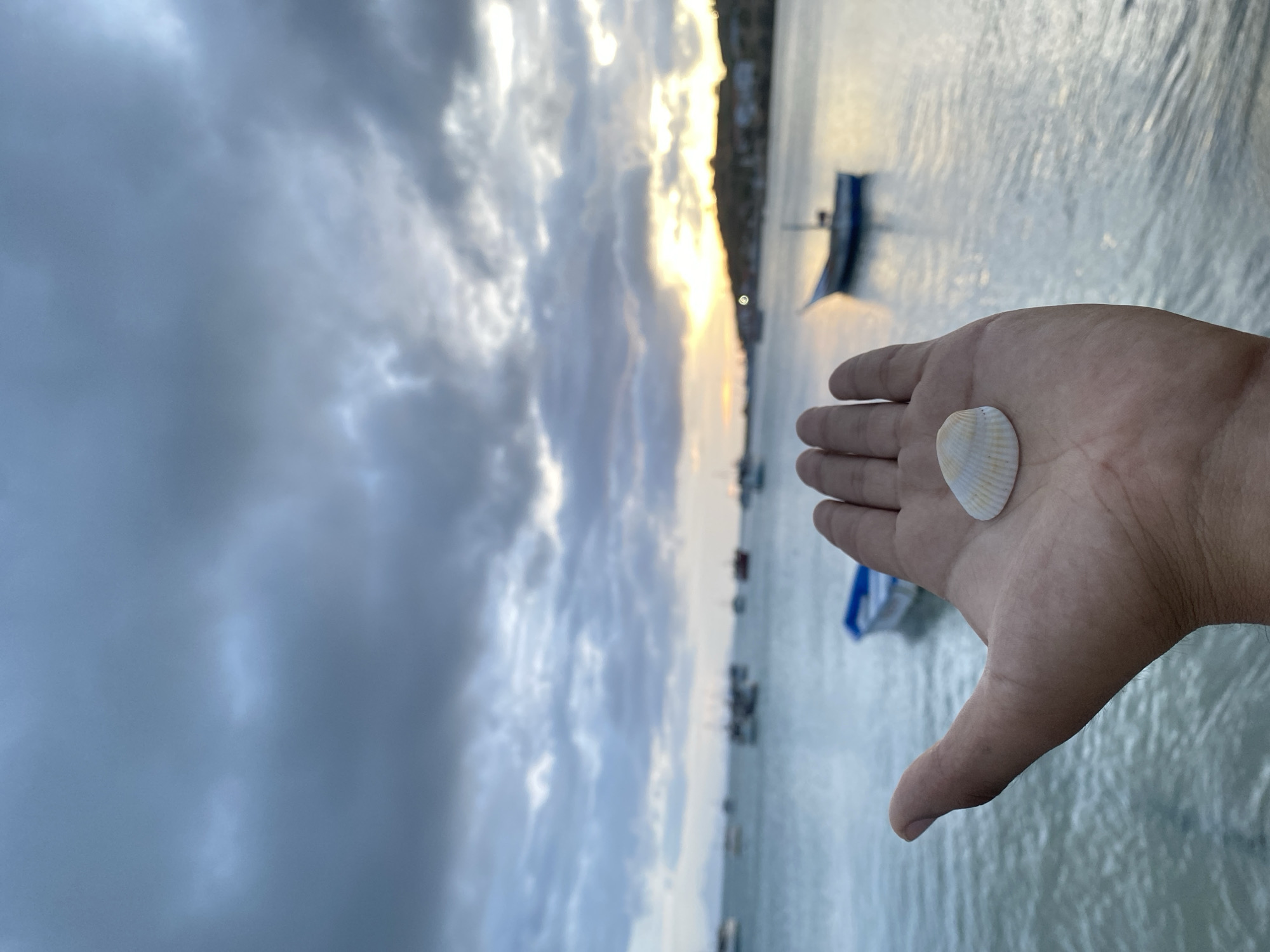 A right hand holds a small, light-colored seashell with ridged texture. The backdrop is a harbor area with several boats afloat on the water and a coastline of buildings illuminated by the setting sun. The sky above is covered with heavy, dark clouds. The scene is Juan Griego, Venezuela, given the characteristics of the harbor and coastline.