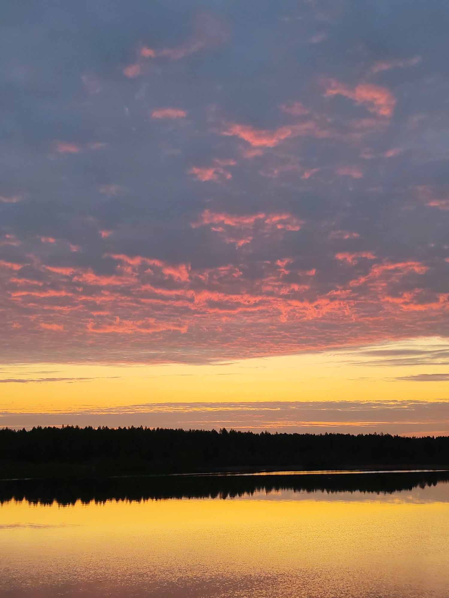 The image captures a serene landscape at dusk or dawn in an unknown location. A body of water occupies the lower half of the frame, reflecting the warm golden light of the sky. Above the water, a dark silhouette of a tree line stretches across the horizon. The sky transitions from a bright yellow-orange near the horizon to a band of pink and grey clouds higher up. These clouds have a distinct, almost rippled texture. The overall lighting suggests a tranquil and possibly remote natural setting.