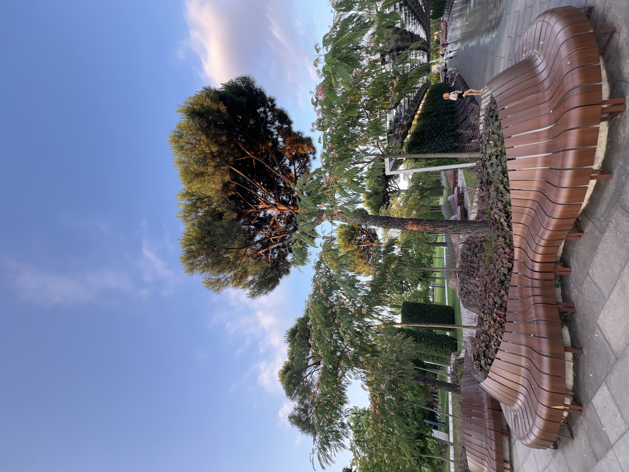 This is a vertical, eye-level, outdoor photograph taken in Krasnodar, Russia. The scene depicts a park-like setting with a clear blue sky and scattered clouds. Two large trees are prominent subjects, one a dark-needled pine and the other a deciduous tree with feathery leaves and pink blossoms.
In the foreground, a modern, curved, wooden bench with a slatted design is visible. To the right of the bench, a person wearing a white top and yellow shorts is seated, appearing to be looking at a phone. Further in the background, there are more trees, manicured bushes, and paved pathways. The lighting suggests it is either early morning or late afternoon due to the warm glow on the pine tree. The overall mood is serene and peaceful. No visible text is present in the image.
