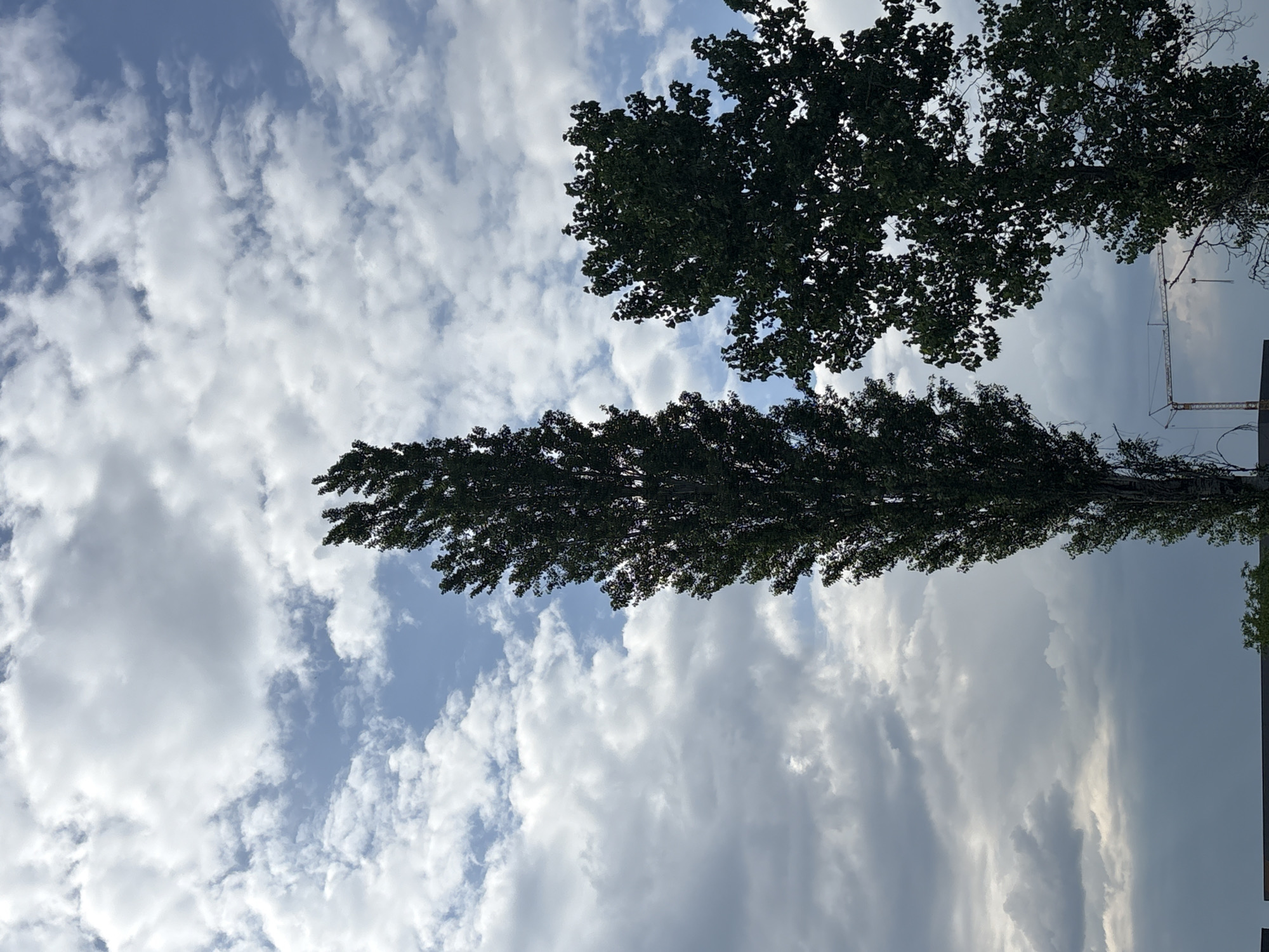 The image depicts a view looking upward towards the sky, partially obscured by tree branches. The sky is predominantly filled with white and gray clouds, interspersed with patches of blue sky. At the top of the frame and to the right, there's a crane visible, presumably a construction crane. The location appears to be Branipole, Bulgaria.