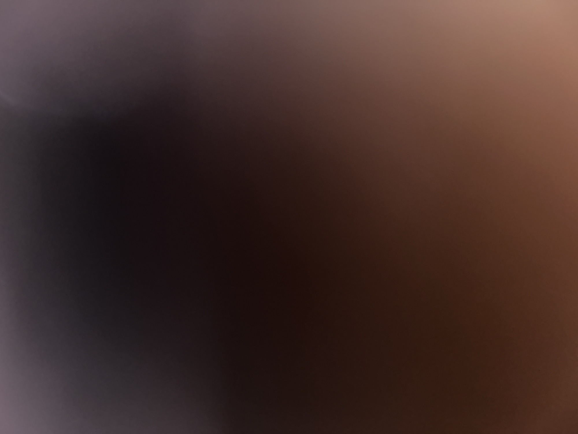 The image is a close-up, out-of-focus shot of a dark brown surface with a subtle gradient. The top of the image is a deep, rich brown, transitioning to a lighter, more reddish-brown towards the bottom. There are hints of a lighter, almost pinkish hue on the far right side, suggesting a light source or reflection. The texture appears smooth and matte, with no discernible features or patterns. The overall impression is one of depth and softness due to the blur. Without any identifiable landmarks or context, it is impossible to determine its location in Belgrade, Serbia, or any specific details about people, subjects, objects, actions, interactions, or the environment.