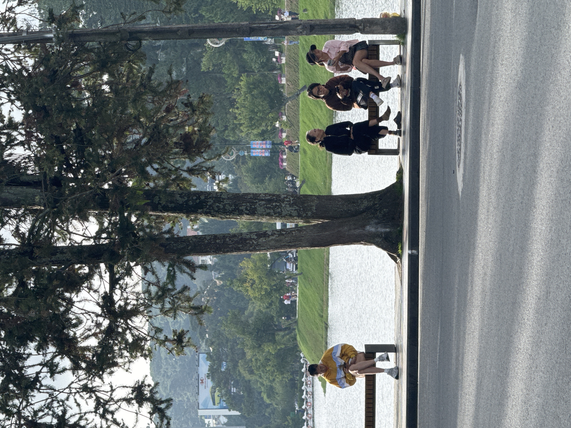 The image captures a daytime scene along Xuan Huong Lake in Da Lat, Vietnam. In the immediate foreground, a grey asphalt road is visible with shadows cast across its surface. Beyond the road, a concrete promenade borders the lake.
On the left side of the promenade, a single individual sits on a dark slatted bench. This person wears a yellow, white, and blue striped hoodie, light-colored shorts, and white sneakers, looking down at an object held in their hands.
A large coniferous tree with a thick, dark trunk stands centrally between the two benches, its branches extending across the upper portion of the frame.
To the right, three individuals occupy another identical dark slatted bench. The leftmost person of this group is an older woman dressed in a black top and dark trousers, facing towards the right. Next to her, a younger individual with glasses, wearing a brown hoodie and dark athletic pants, is looking down at a mobile phone. The rightmost person is a young woman wearing a light pink long-sleeved shirt, dark shorts, and a dark baseball cap worn backward; she holds a mobile phone and looks to her right. A utility pole stands to the right of this bench, partially obscured by tree foliage.
The tranquil water of Xuan Huong Lake extends across the mid-ground. On the opposite bank, a green grassy slope with scattered trees is visible, where several people are walking. To the far left across the lake, a line of white paddle boats is docked. In the background, further beyond the lake, hills covered in dense green foliage rise. A large billboard advertising "VIET LONG MOTOR" with a yellow bus image is prominent on the far left side of the distant landscape. The scene is illuminated by natural light, suggesting either morning or late afternoon based on the shadows.