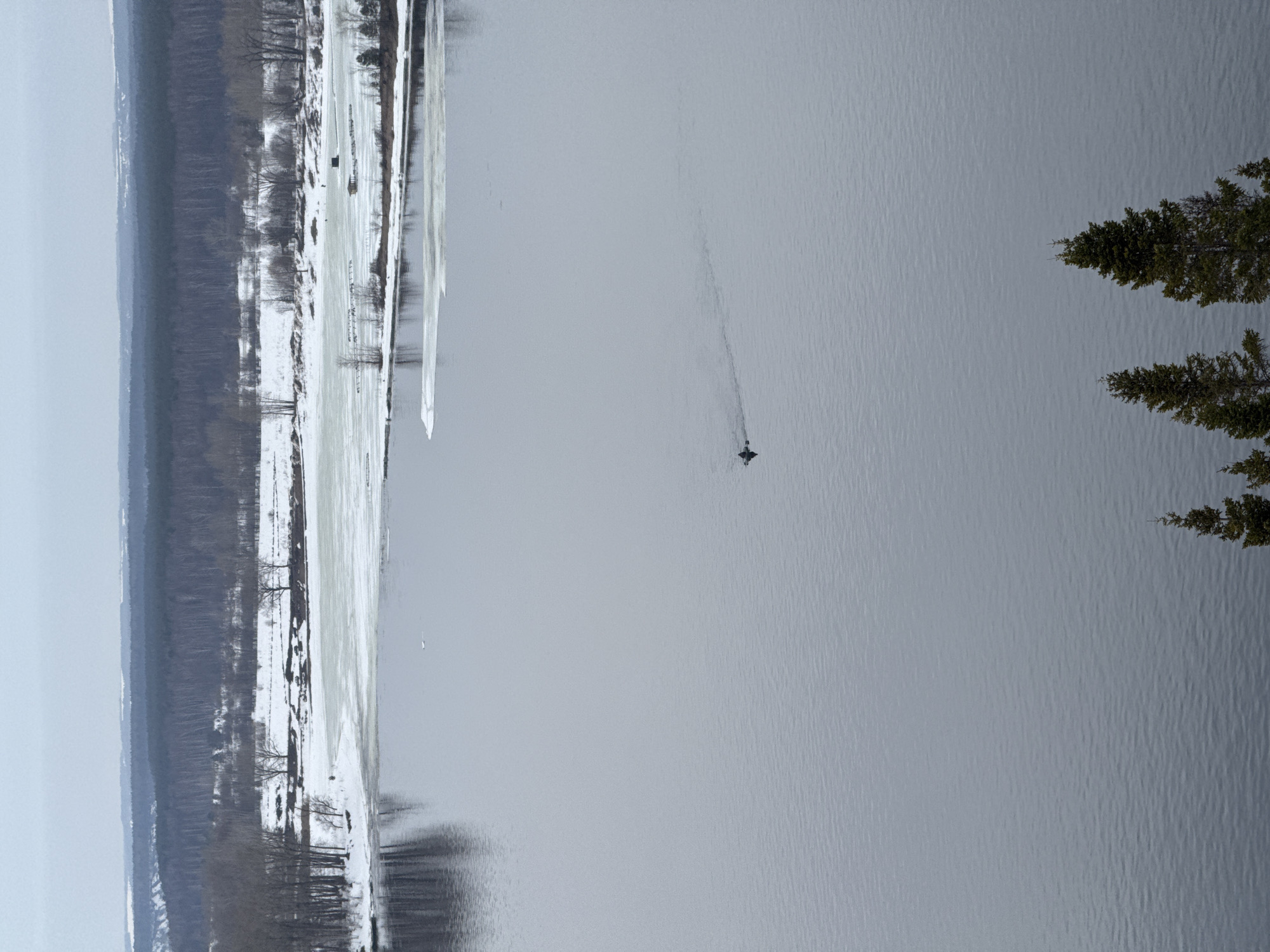 This is an aerial perspective of a winter landscape in Ольховка, Russia. The scene is dominated by a wide, gray body of water, likely a river or large lake, which occupies the majority of the lower and middle frame. The water exhibits a textured surface with subtle ripples. In the mid-distance, a small, dark vessel, possibly a kayak or a similarly sized boat, with a single visible occupant, is traversing the open water, leaving a faint wake behind it.
The far bank of the water body is partially covered in snow and ice, with patches of open water and large, broken sheets of ice closer to the shore. A collection of deciduous trees, devoid of leaves, line this bank, interspersed with some evergreen foliage. Several structures are visible on the ice-covered area near the far bank: a dark, rectangular hut, and a series of interconnected floating or submerged structures, potentially aquaculture pens. Small, indistinct human figures appear to be present on the snow or ice near these structures.
Beyond the immediate bank, the terrain is snow-covered, leading to a dense, dark forest that spans the horizon. Further in the background, more distant hills or plains are also covered in snow. The sky above is uniformly overcast and light gray, contributing to the subdued, cool color palette of the image. In the immediate foreground, at the bottom of the frame, the tops of several dark green evergreen trees are partially visible.
