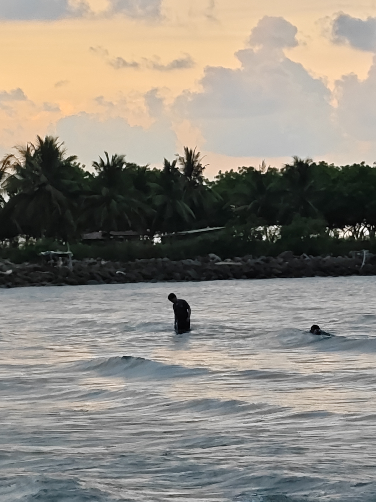 This coastal image, set in Lhokseumawe, Indonesia, captures a tranquil scene during twilight hours, likely at sunrise or sunset. The sky displays soft, warm tones of orange and yellow blending with light grey clouds, suggesting the gentle transition of day.
In the foreground and mid-ground, two individuals are present in the calm, pale grey-blue waters. One person stands in the water, facing away from the viewer, with their torso and head visible above the surface, clad in dark attire. Further to their right, a second individual is seen mostly submerged, with only their head and upper back visible, indicating they are swimming or wading.
The background features a distinct shoreline. A dark, rocky barrier separates the water from a dense line of tropical vegetation, dominated by lush green palm trees and other foliage. These trees form a vibrant backdrop, silhouetted against the softly lit sky. The water itself is relatively still, with subtle ripples and small waves reflecting the muted light. There is no visible text in the image. The overall impression is one of peaceful natural beauty and human presence enjoying the serene coastal environment.