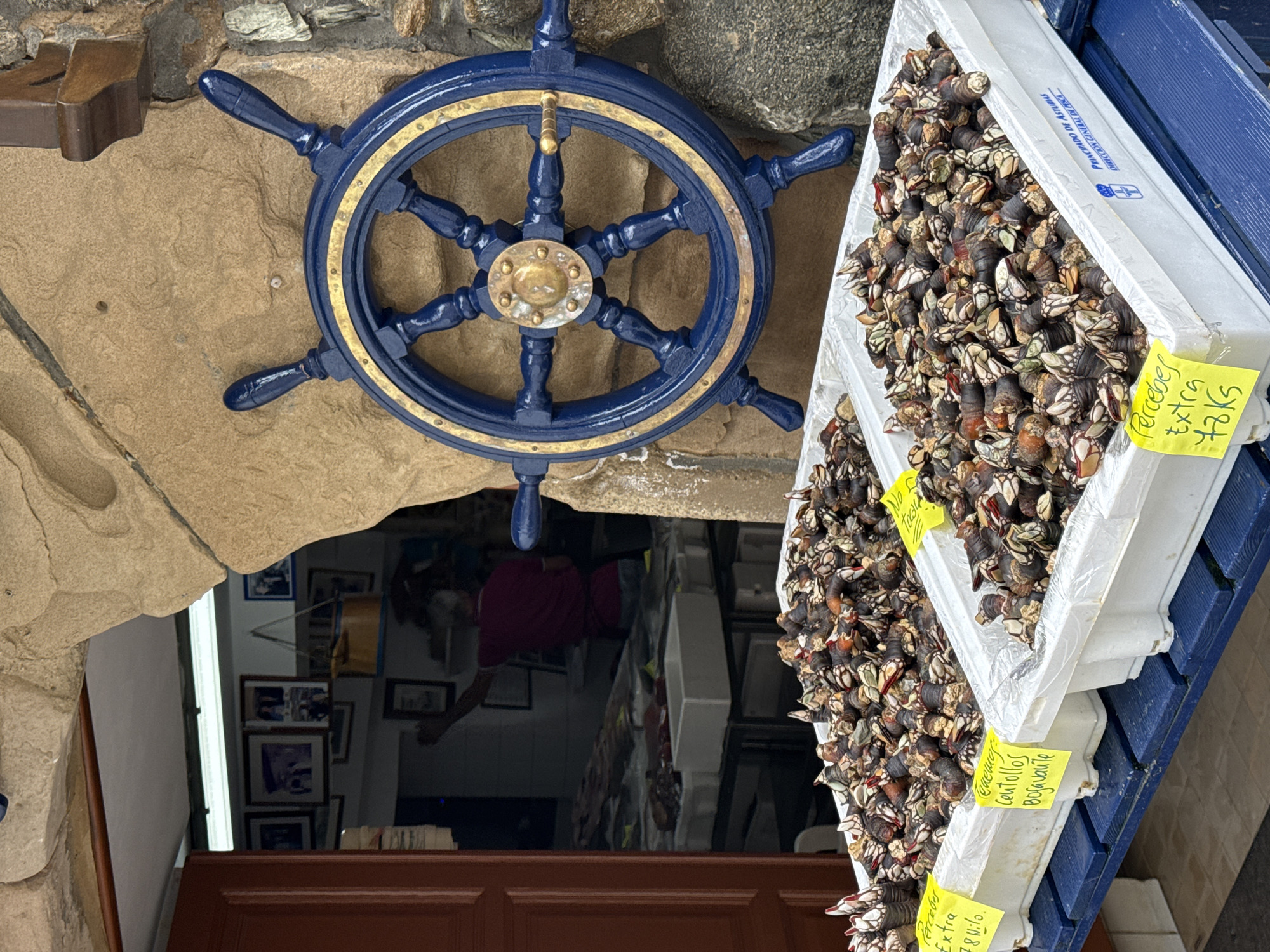 In Cudillero, Spain, this image captures a vibrant outdoor market scene. In the foreground, two large white plastic crates are filled with Percebes, a type of barnacle, a delicacy for sale. Bright yellow price tags are attached to the crates. One tag reads "Percebes Extra 78€/kilo," and another shows "centollos 80€/kilo". To the right, a large, ornate blue ship's wheel with gold accents is mounted on a rustic stone wall. In the background, through an open doorway, a fish market is visible with a man in a maroon shirt tending to displays of seafood. The scene is bustling, indicative of a local marketplace environment.