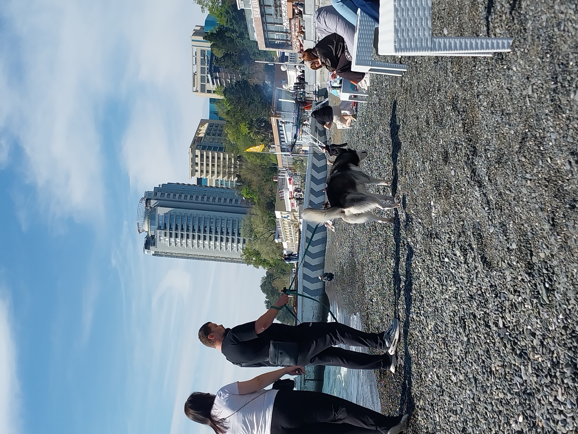 The image captures a sunny daytime scene on a pebbly beach in Sochi, Russia, with urban development in the background. In the foreground, a man and a woman are standing near the water's edge. The man, dressed in a black t-shirt and black pants, holds a leash attached to a large dog, likely a Husky or Malamute, which stands on the gravel. The woman beside him, wearing a white t-shirt and dark pants, is also looking towards the water.
Further along the beach, in the mid-ground, several other people are visible. One person in a black jacket is seated at a white wicker table with matching chairs, suggesting an outdoor cafe or restaurant. Nearby, other individuals are gathered around what appears to be a barbecue or fire pit. A distinct grey and white striped barrier or path runs parallel to the waterline, separating the beach from the adjacent commercial area.
The background showcases a cityscape with multiple modern high-rise buildings and verdant trees under a clear blue sky dotted with scattered white clouds. Visible text on one of the buildings appears to be "СИТИ ПАРК" (CITY PARK), with another partial sign possibly reading "SEA ZONE." The bright sunlight suggests a clear, pleasant day, likely mid-morning or early afternoon, with distinct shadows cast by the subjects and structures. The scene depicts a leisurely outdoor activity in a lively coastal environment.